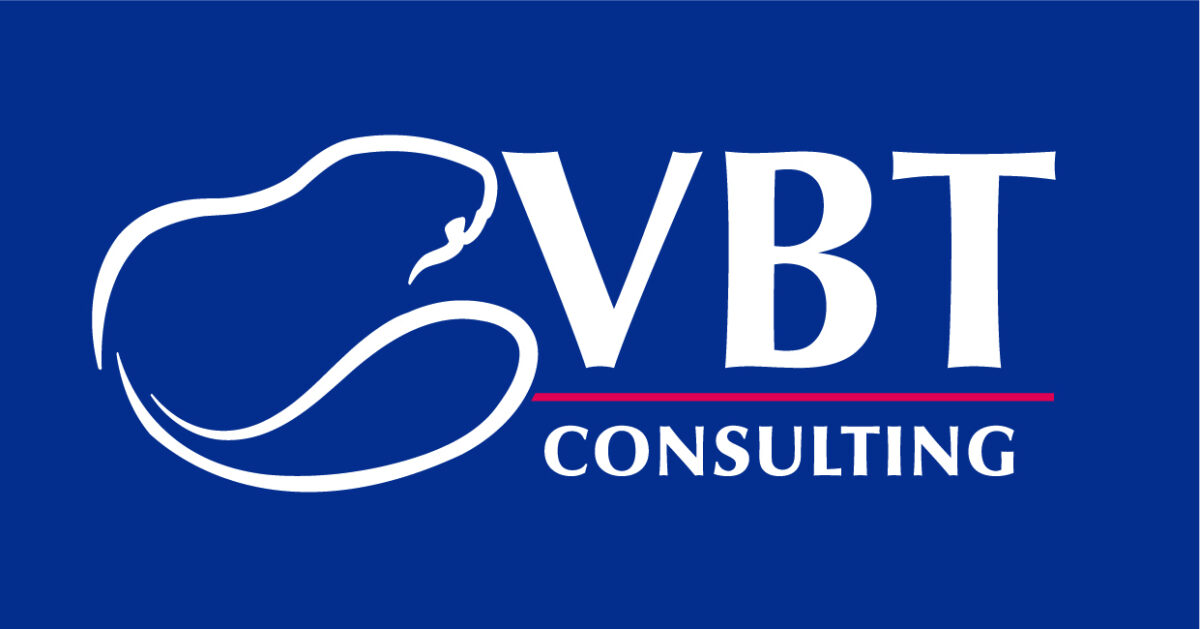 VBT Consulting | Built to move with your business