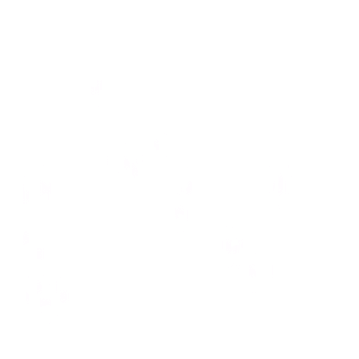 Novogin logo