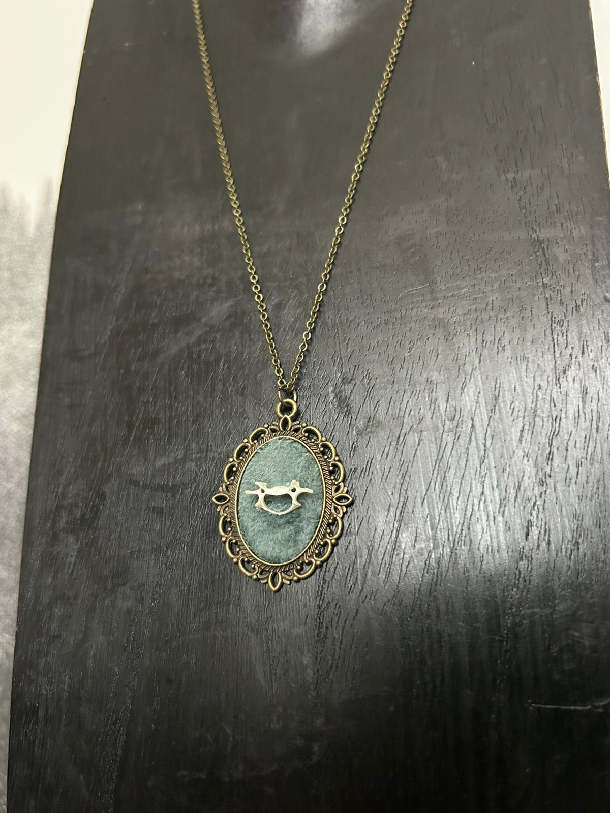 Eekhoorn  – galerij 2