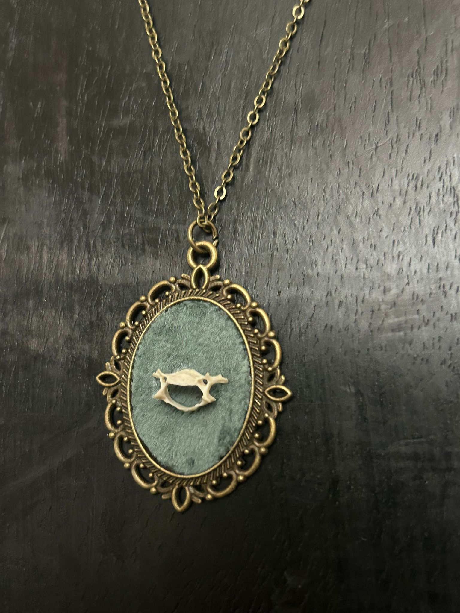 Eekhoorn  - Online kopen