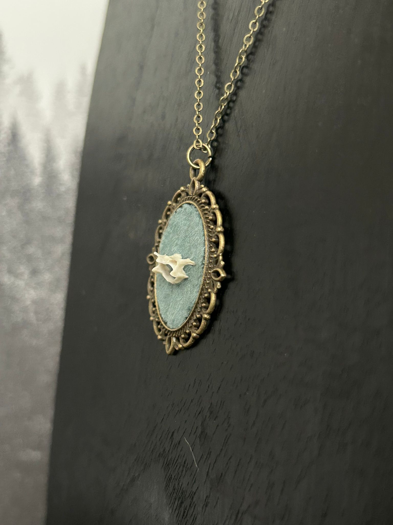 Eekhoorn  – galerij 4