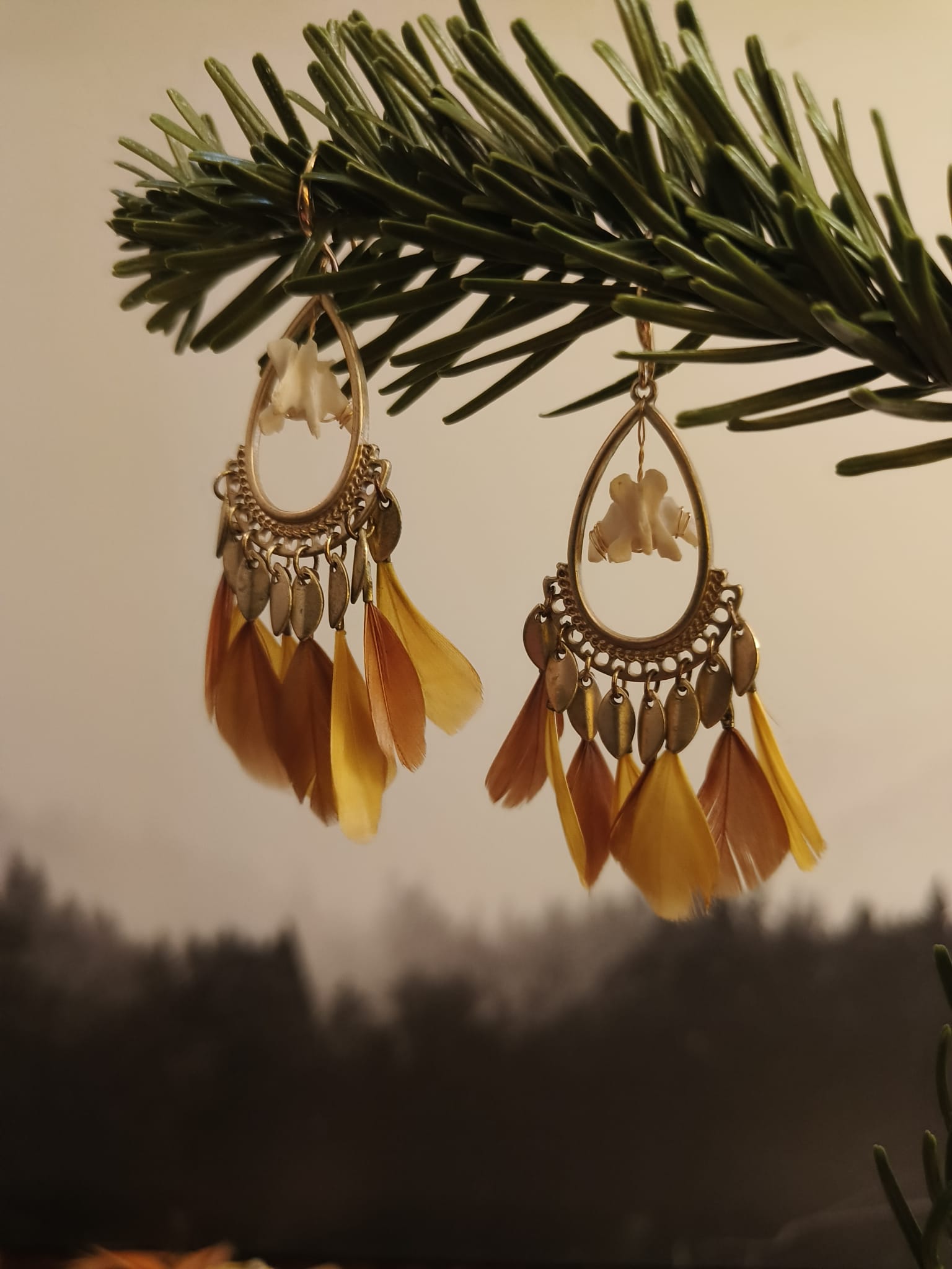 Eekhoorn  - Online kopen