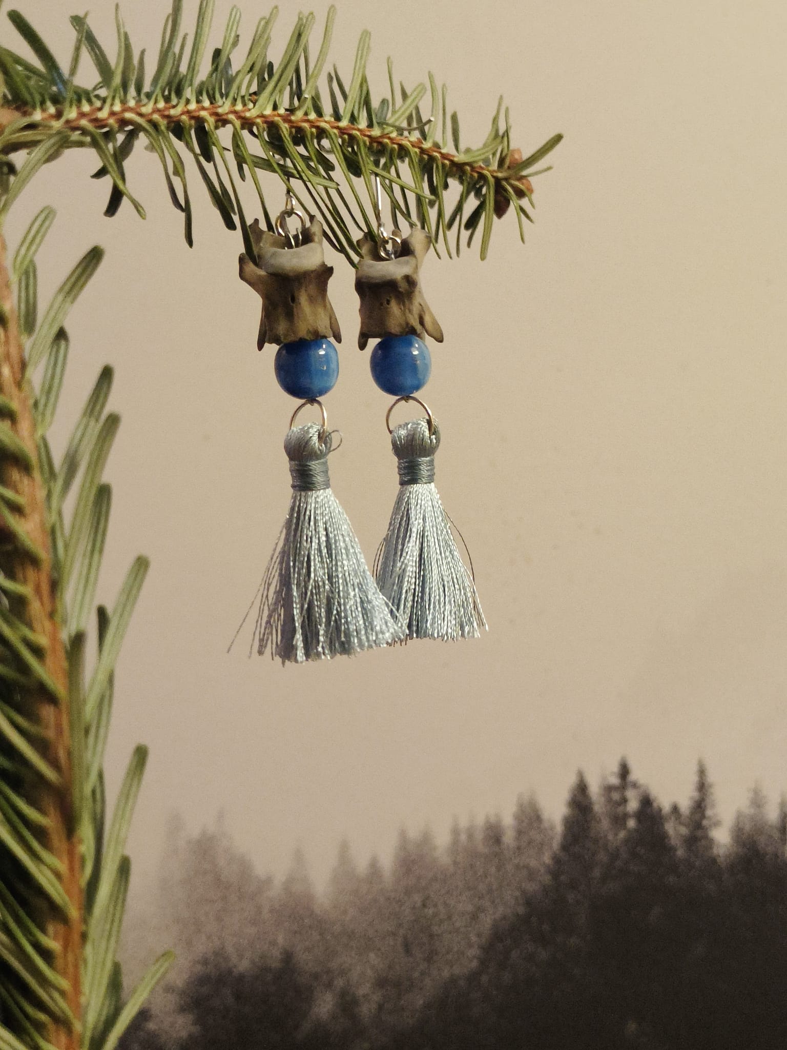 wasbeer – galerij 1