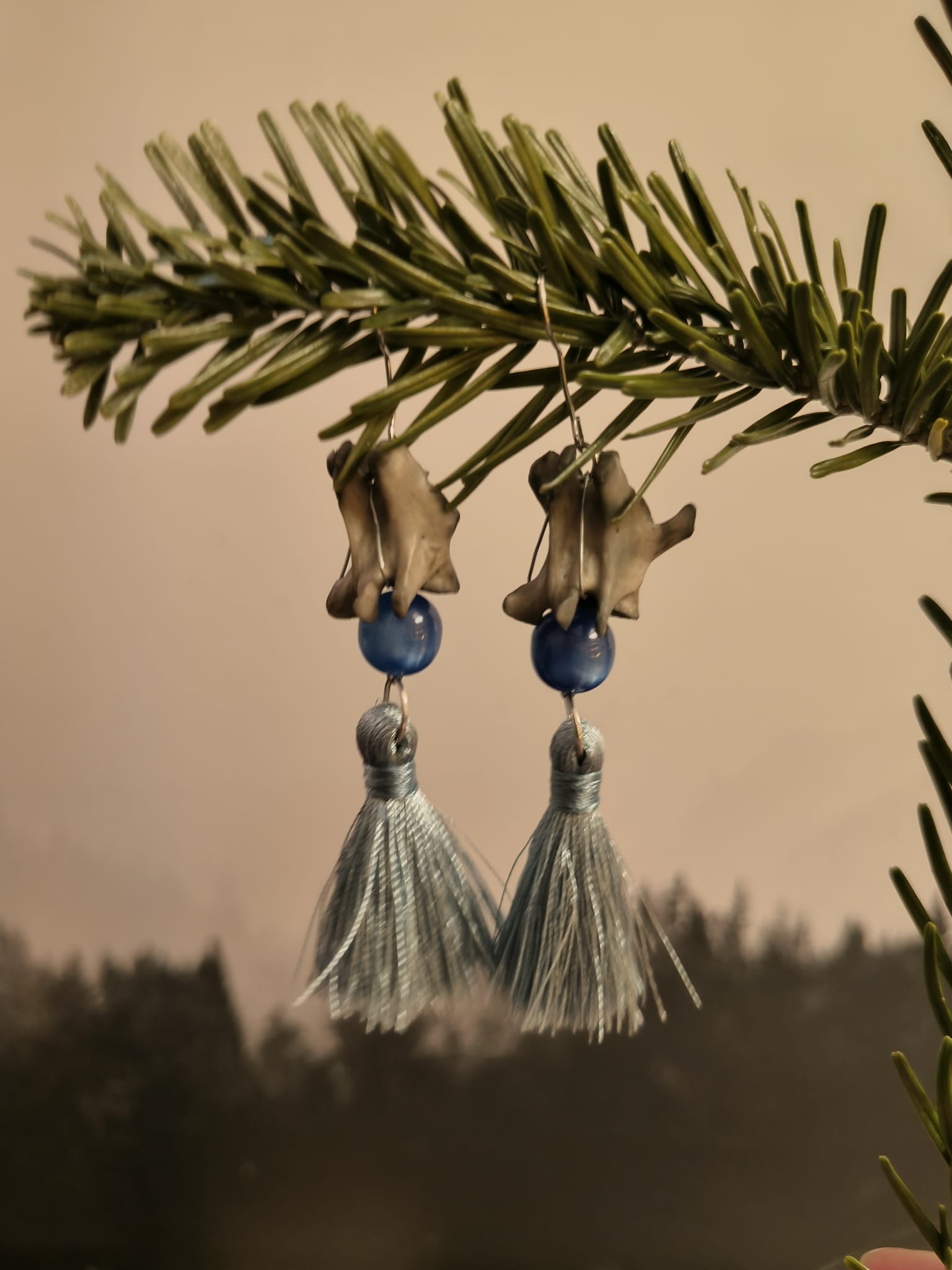 wasbeer - Online kopen