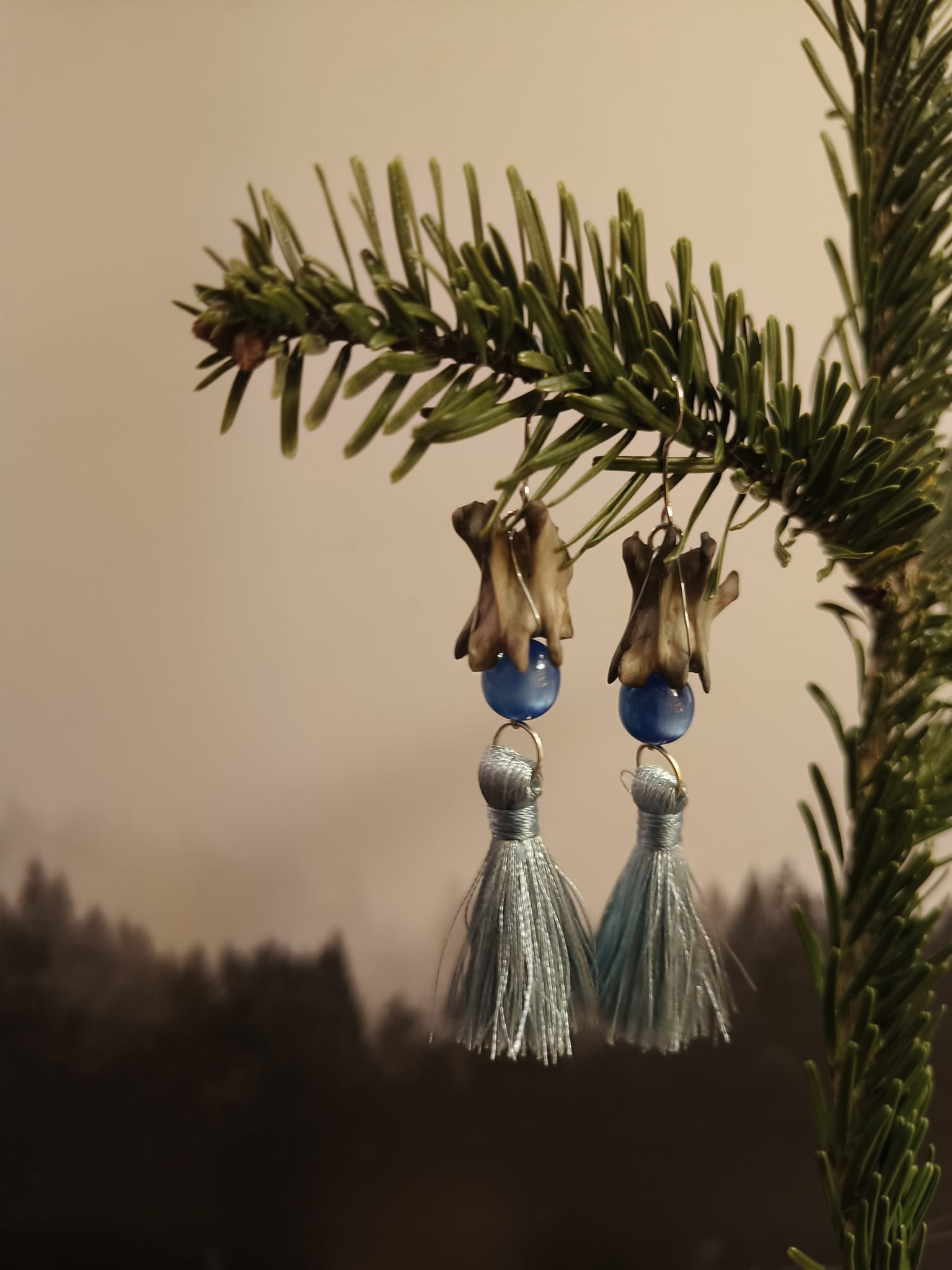 wasbeer – galerij 3