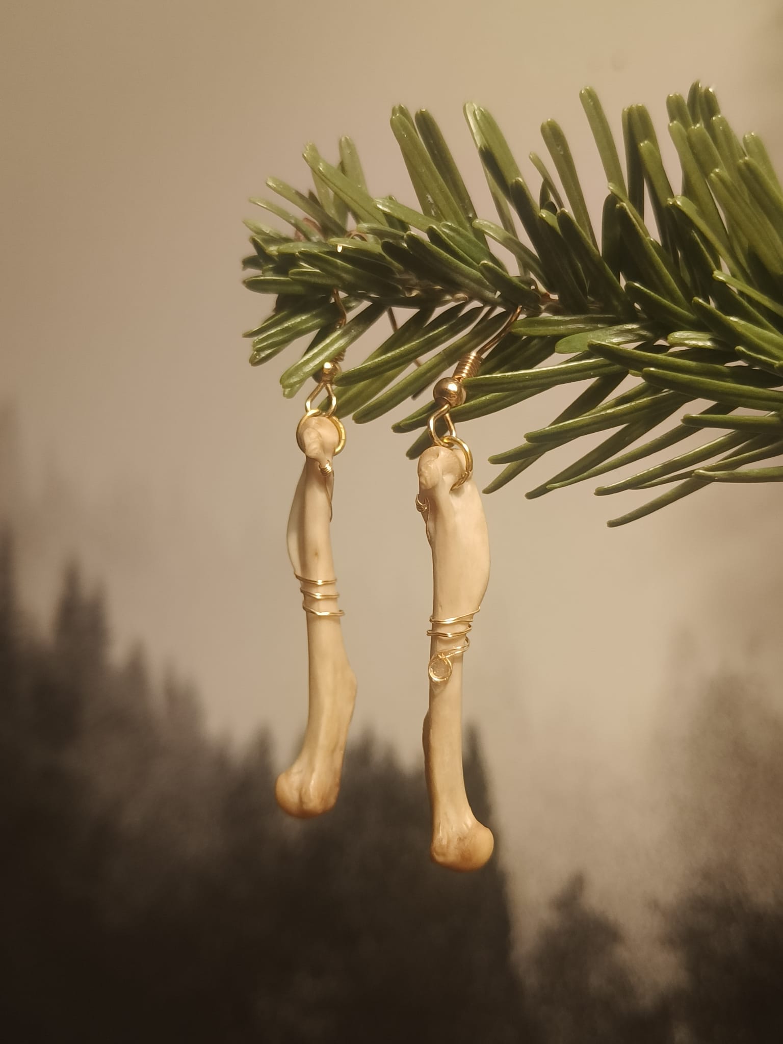 Eekhoorn  – galerij 1