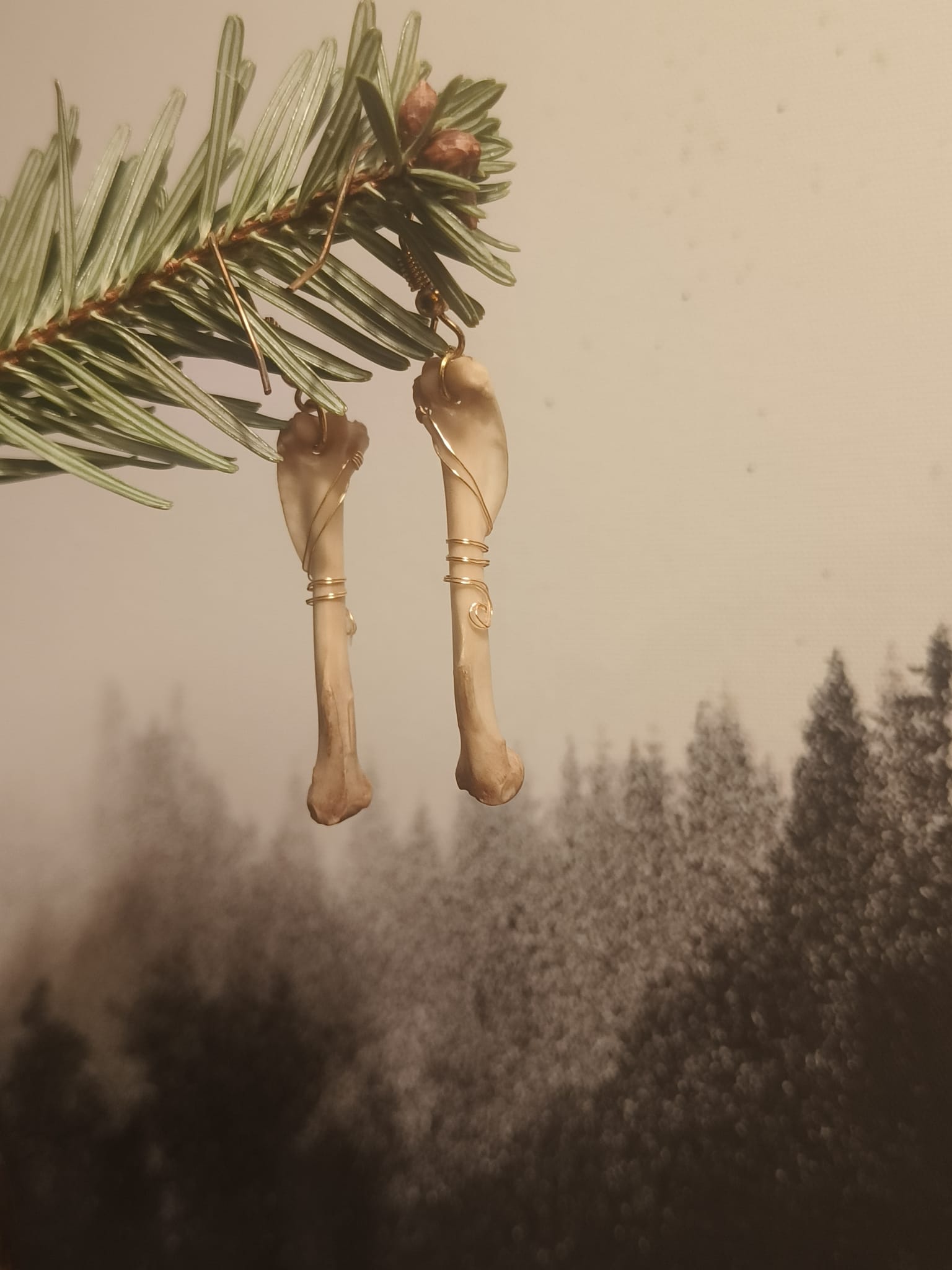 Eekhoorn  – galerij 2