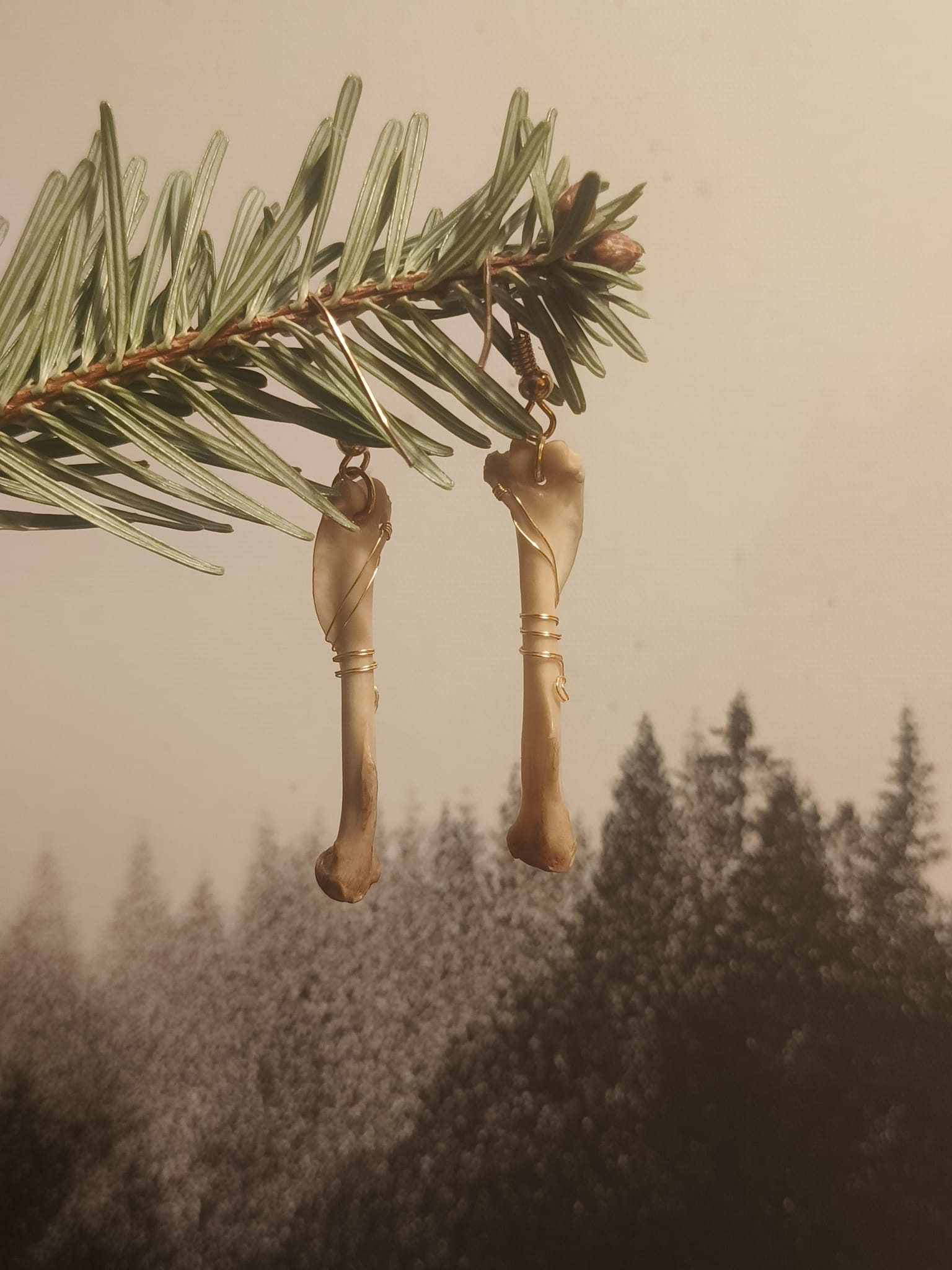 Eekhoorn  – galerij 3