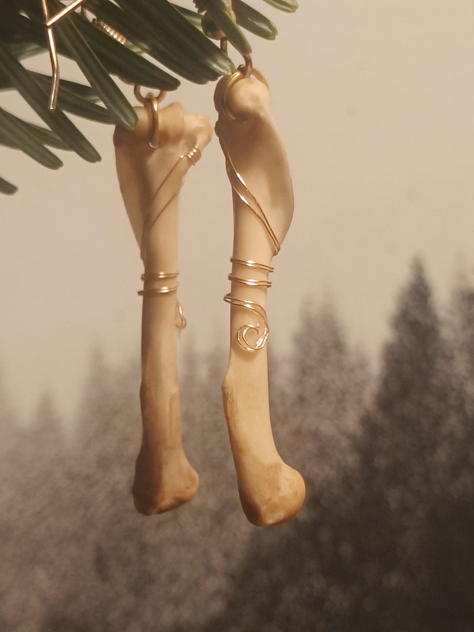 Eekhoorn  - Online kopen