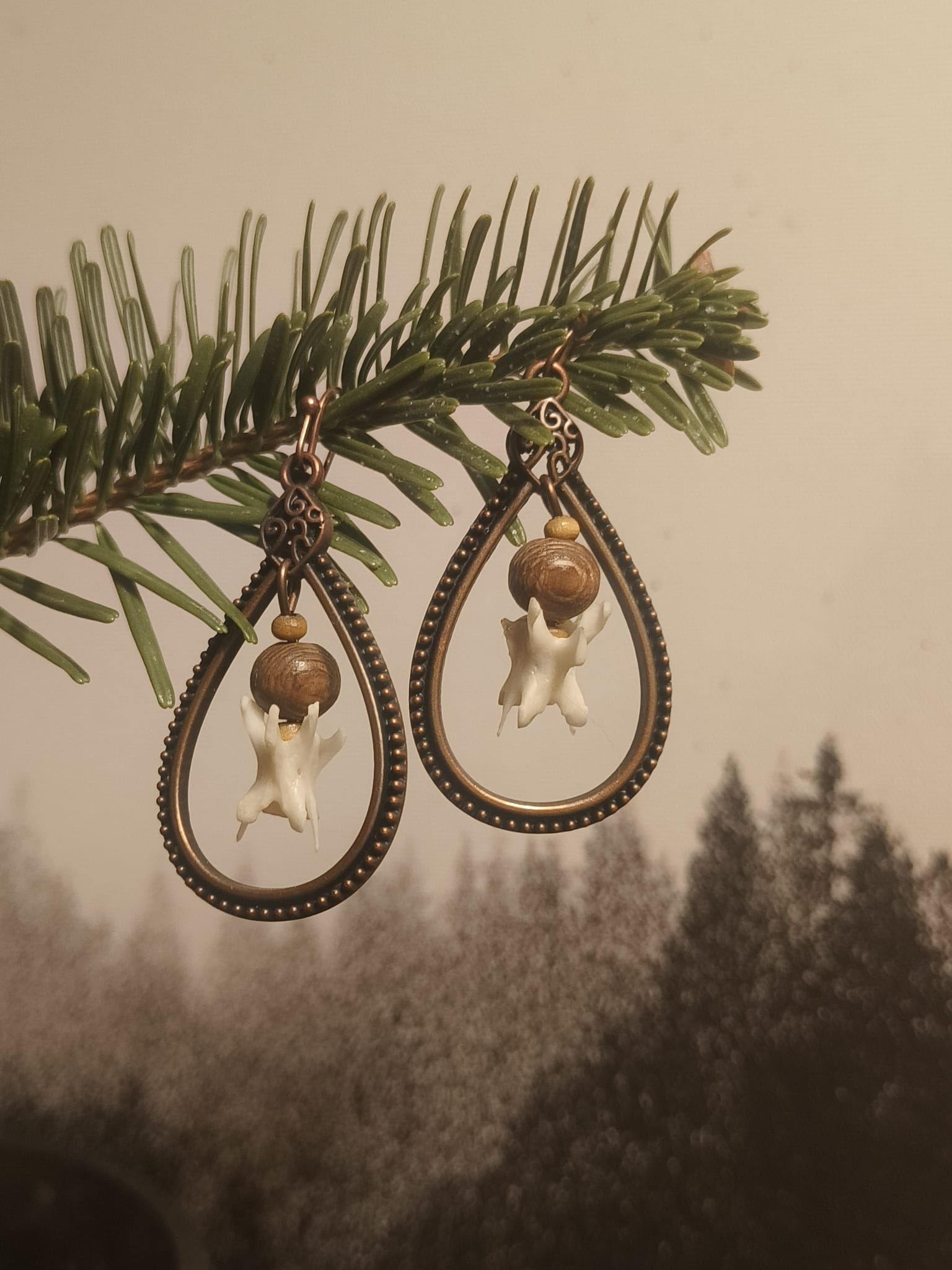 eekhoorn – galerij 1