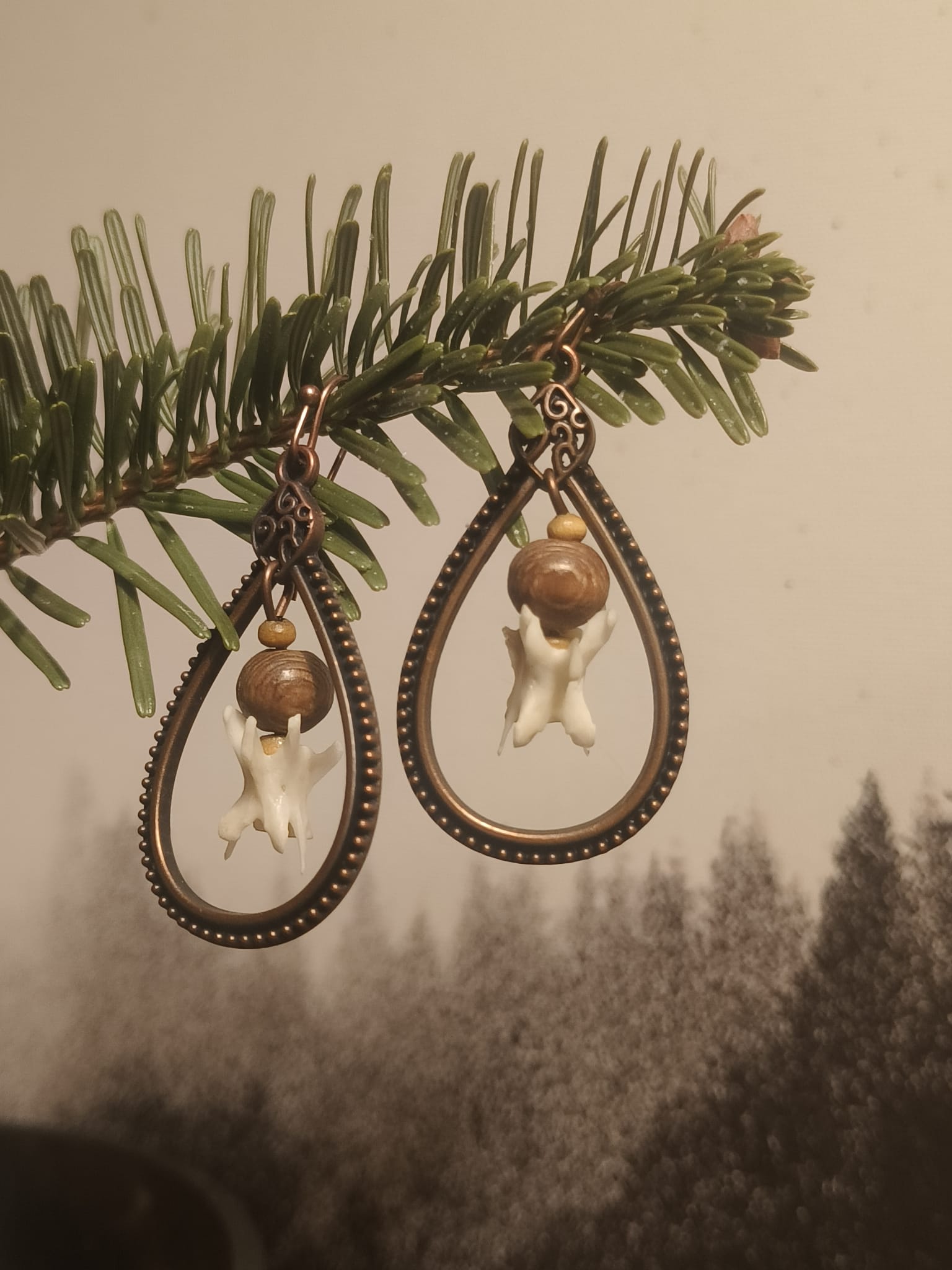 eekhoorn - Online kopen