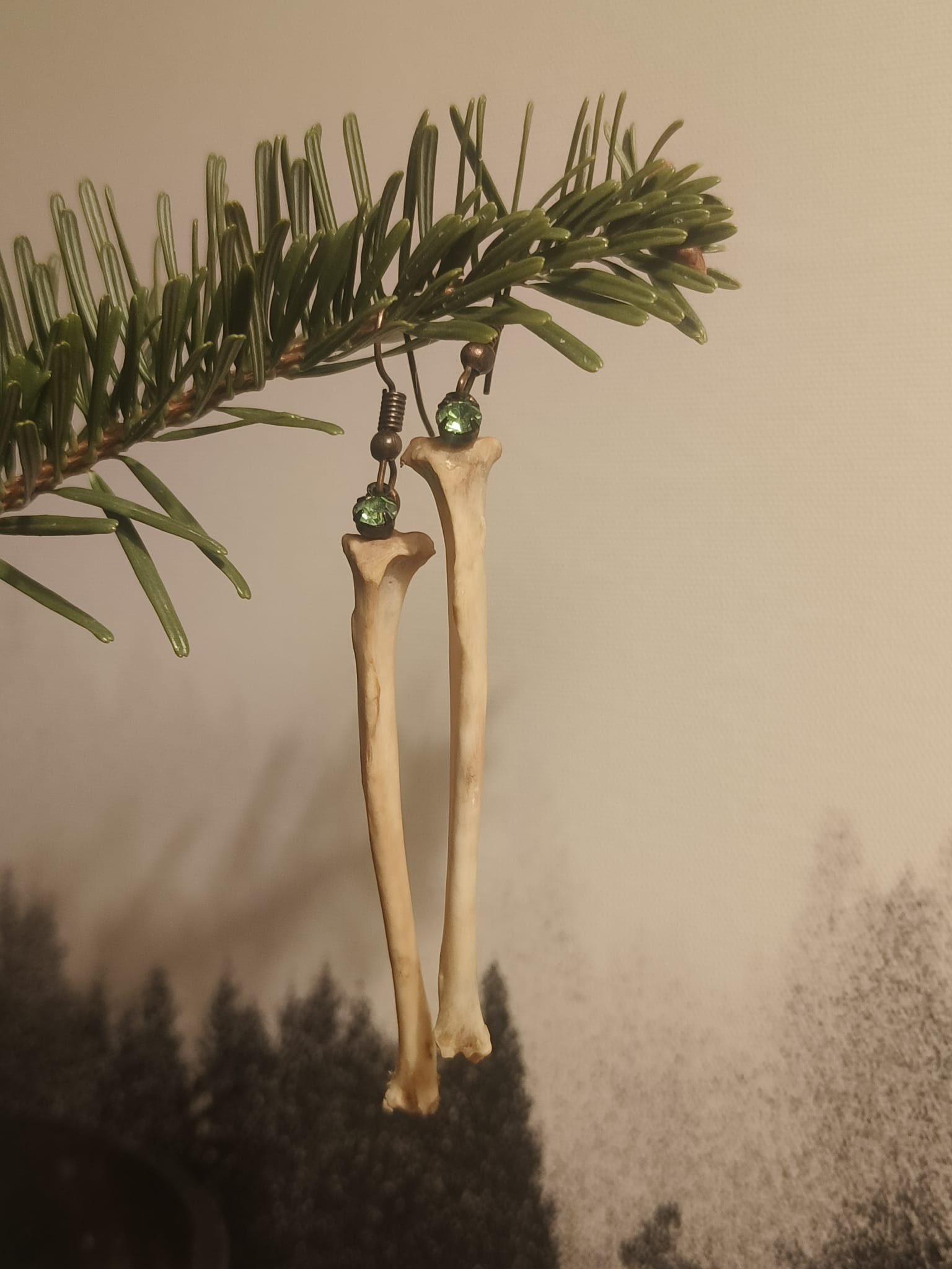 Eekhoorn  - Online kopen