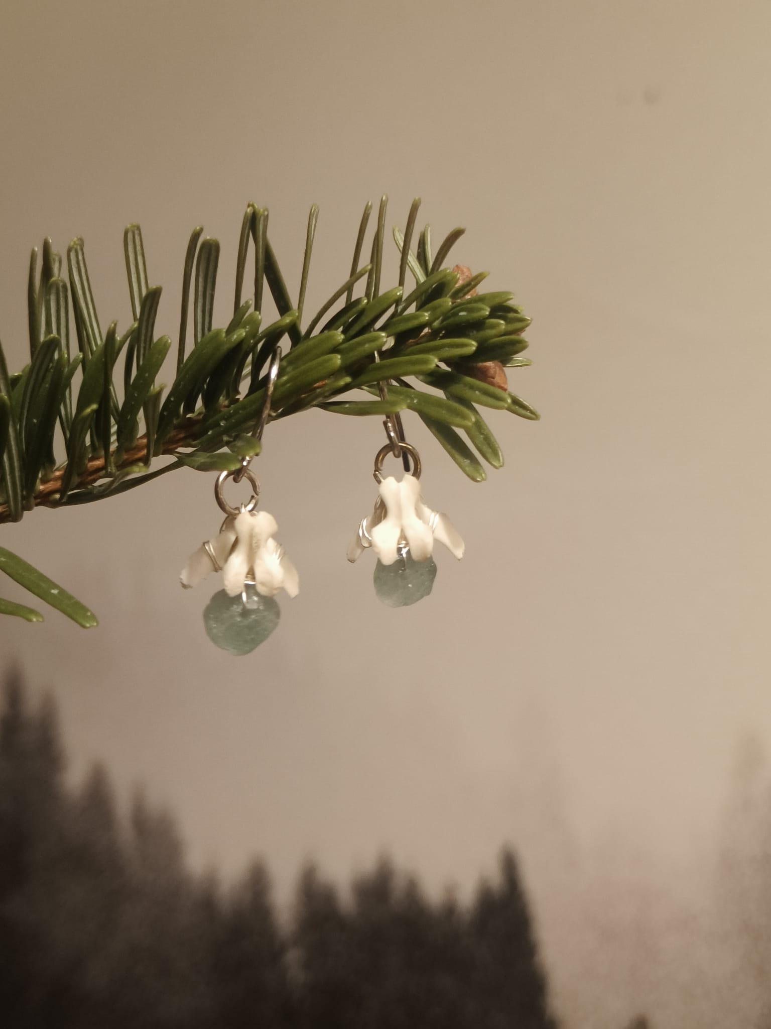 Eekhoorn  - Online kopen