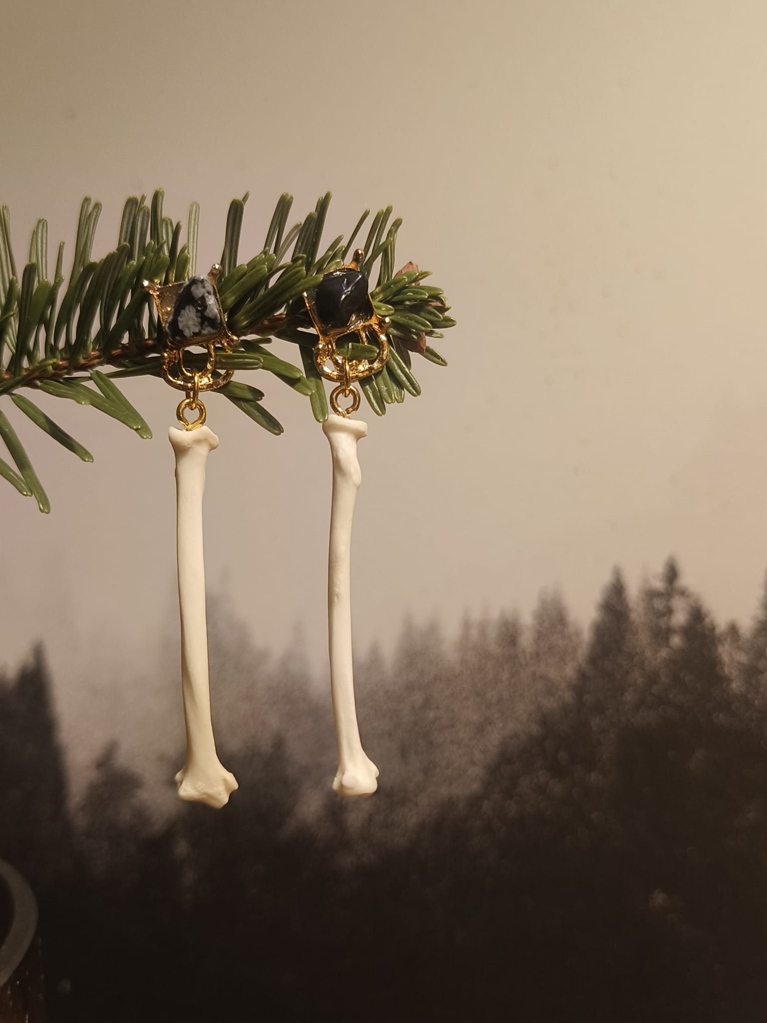 Eekhoorn  - Online kopen