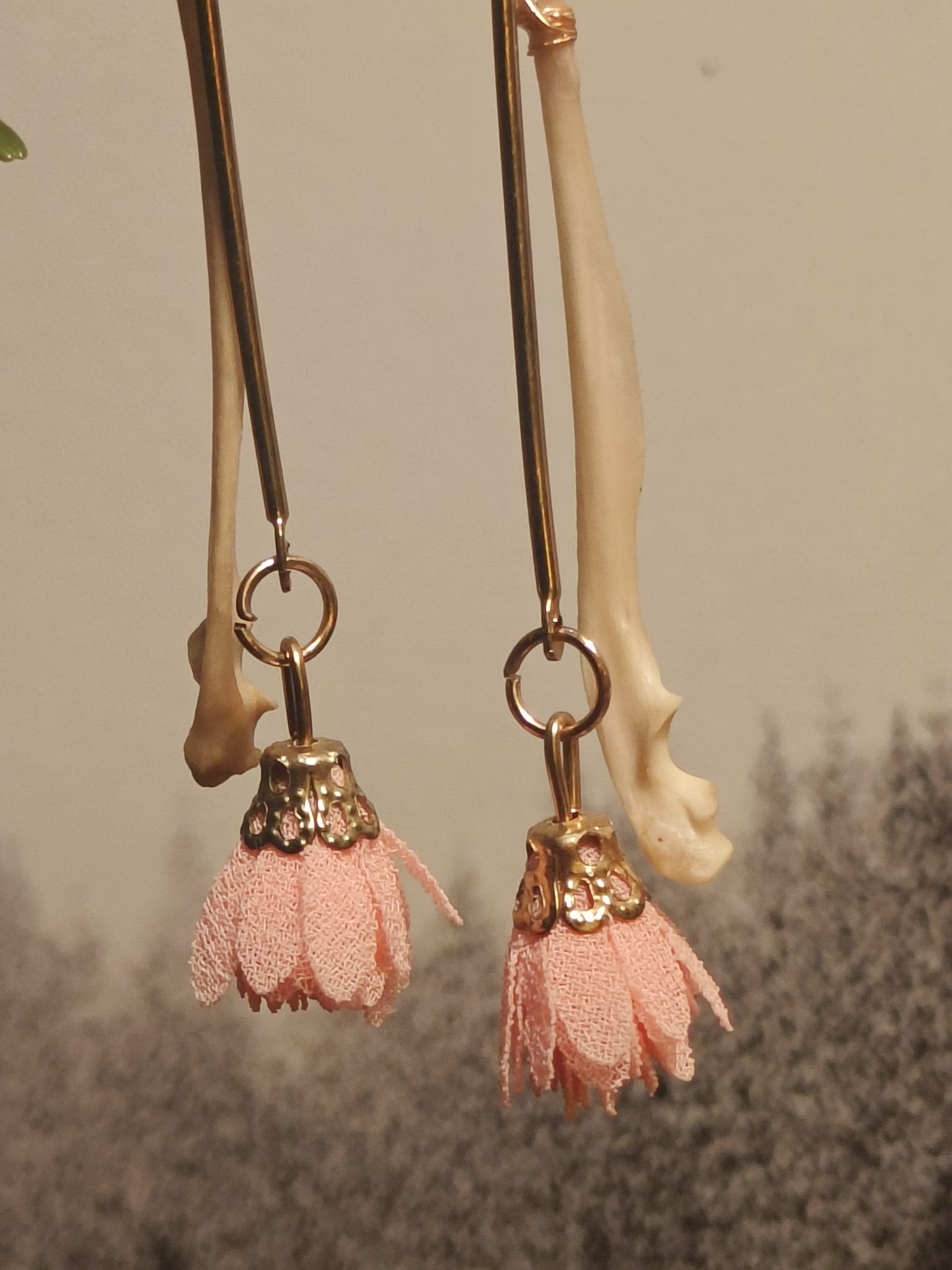 Eekhoorn  – galerij 4