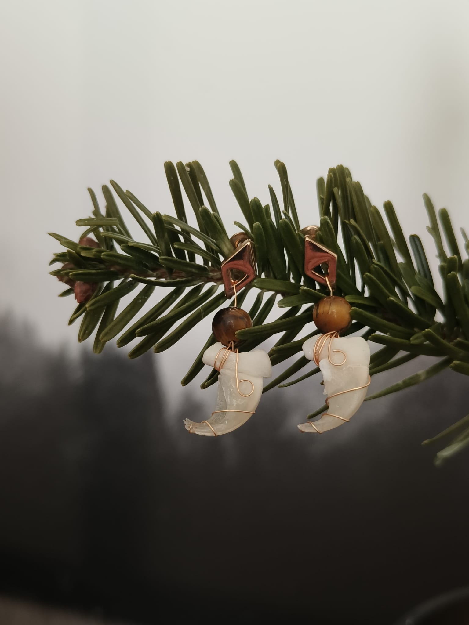 Kattenklauw – galerij 1