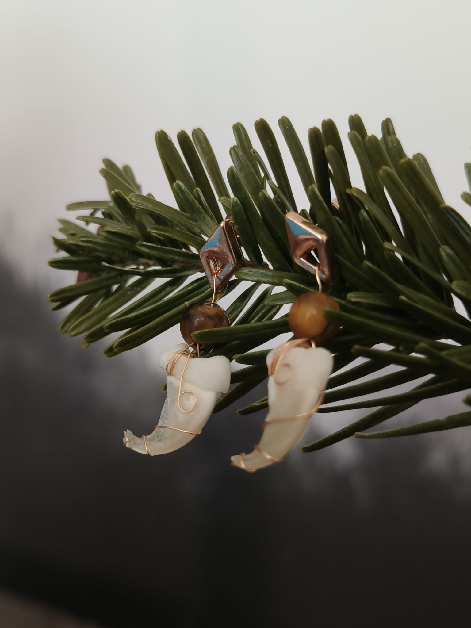 Kattenklauw – galerij 2