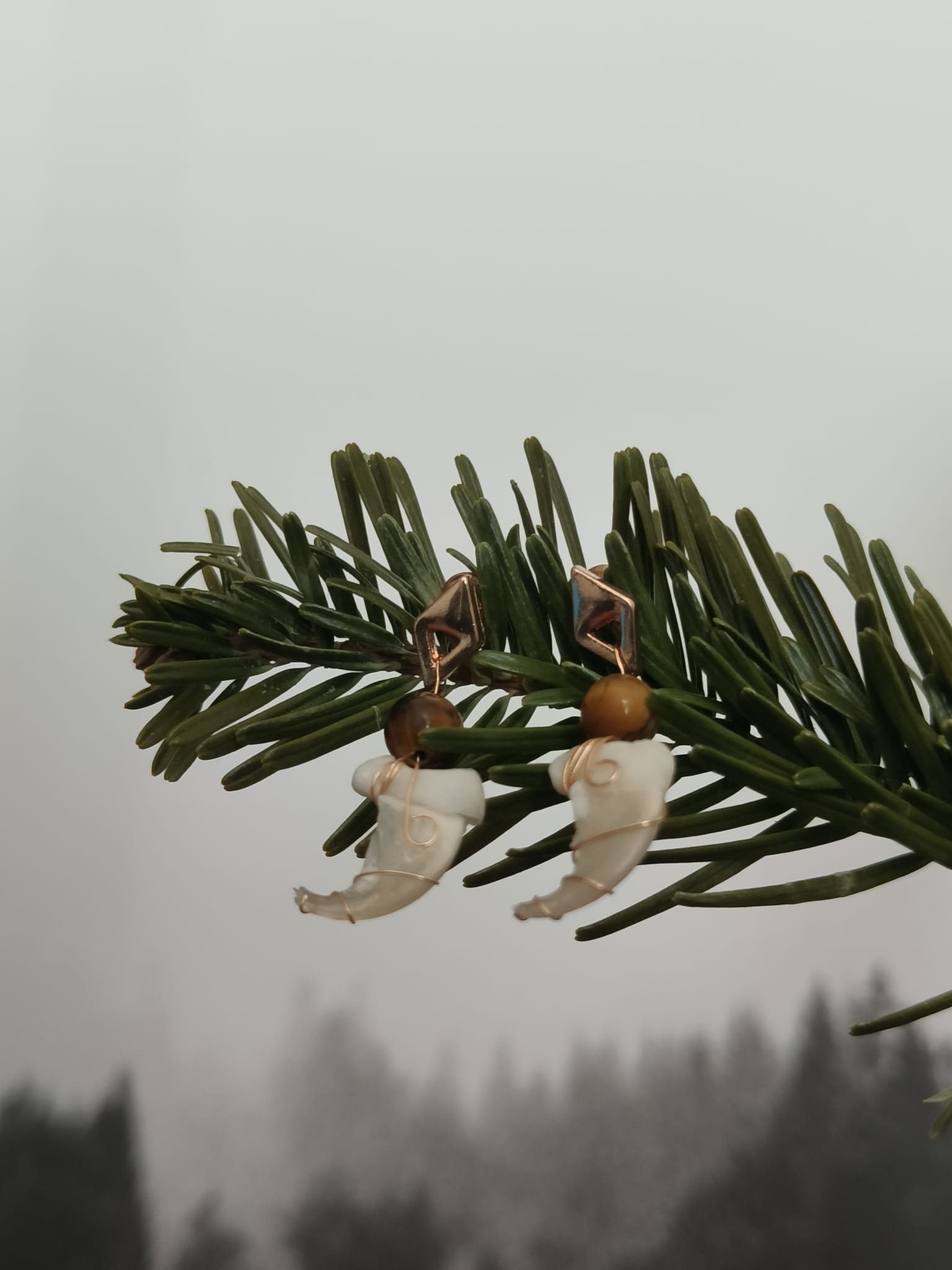 Kattenklauw – galerij 3