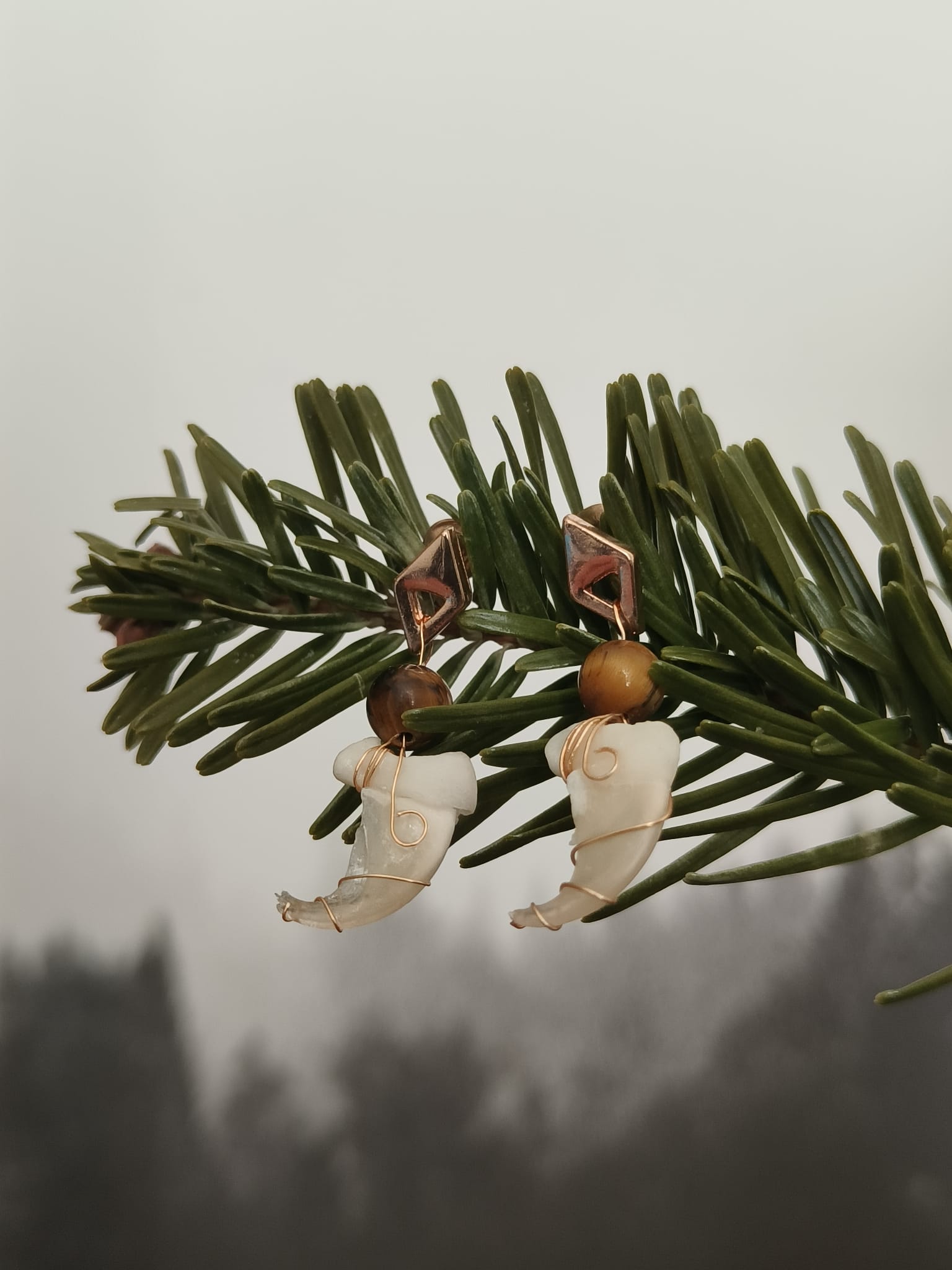 Kattenklauw - Online kopen