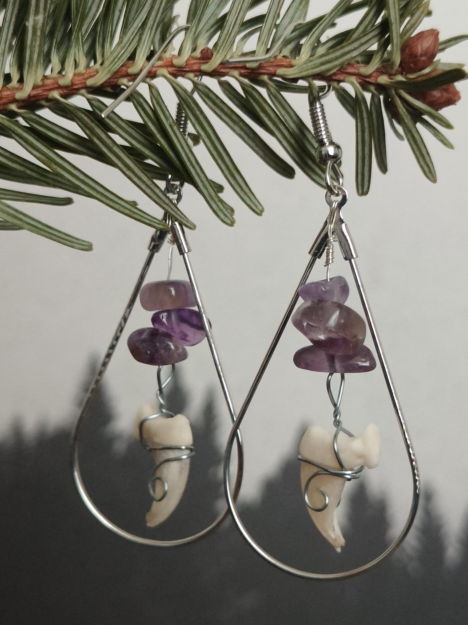 Kattenklauw – galerij 1