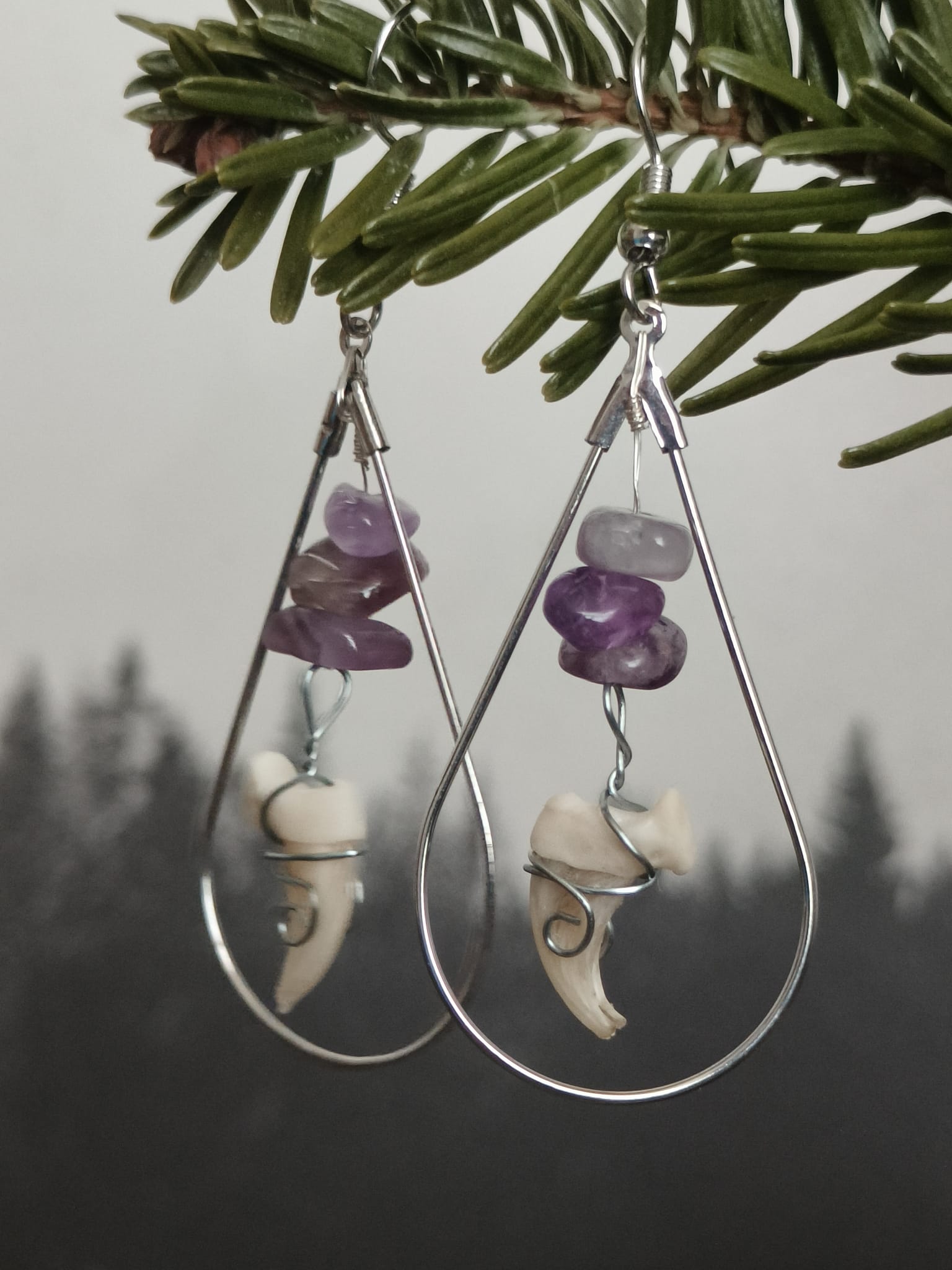 Kattenklauw – galerij 2