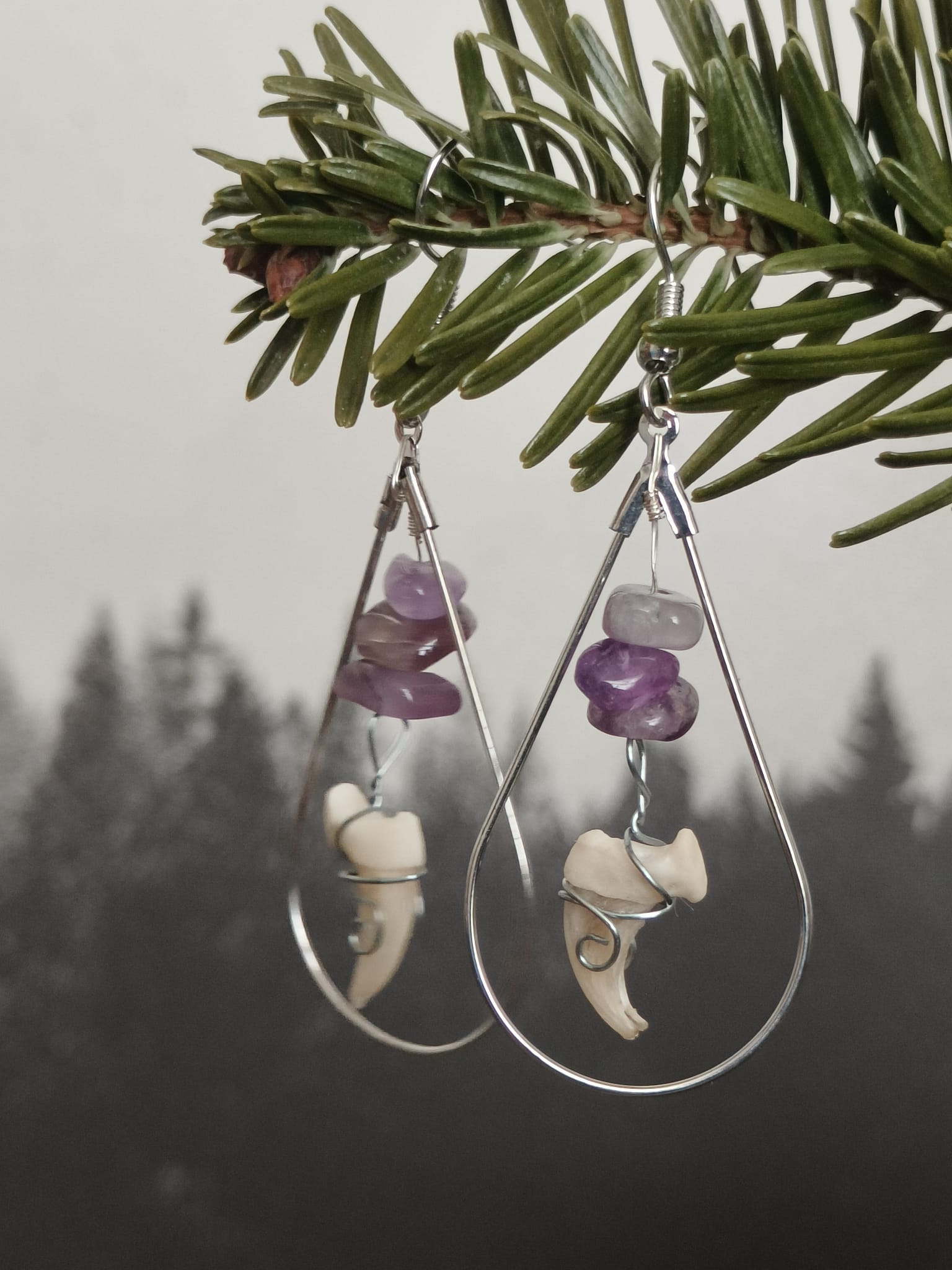 Kattenklauw - Online kopen