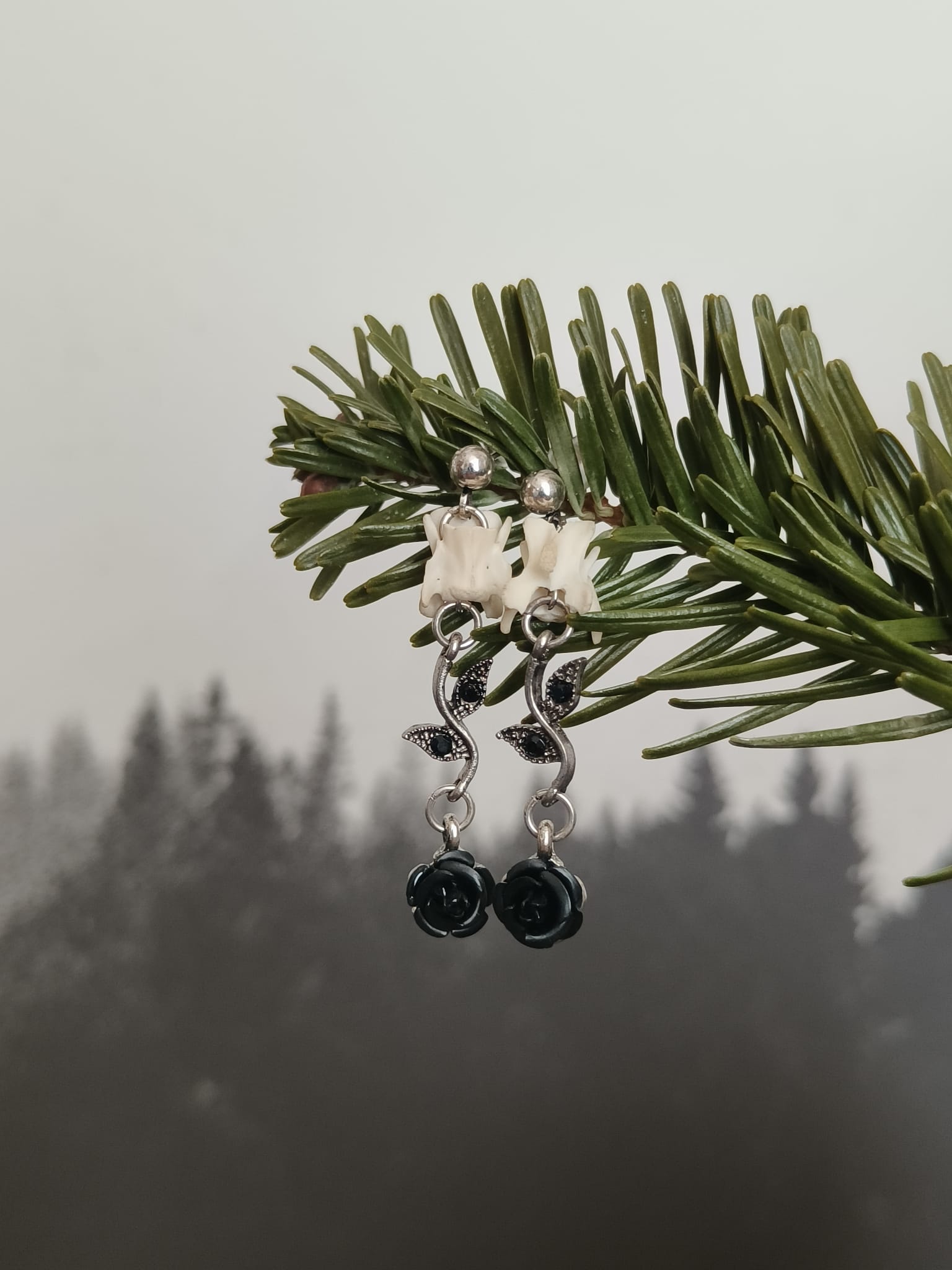 Eekhoorn  – galerij 1