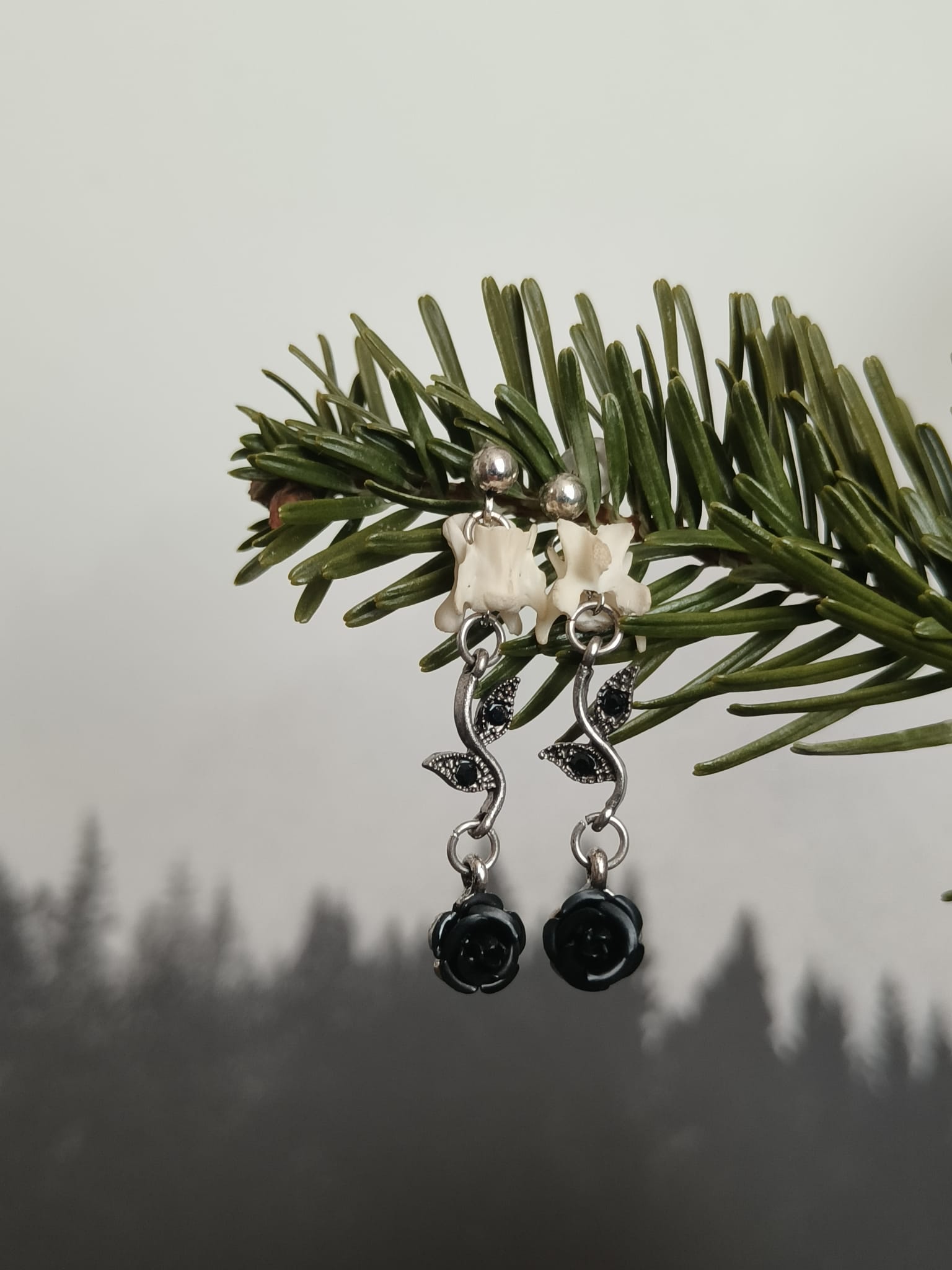 Eekhoorn  – galerij 2