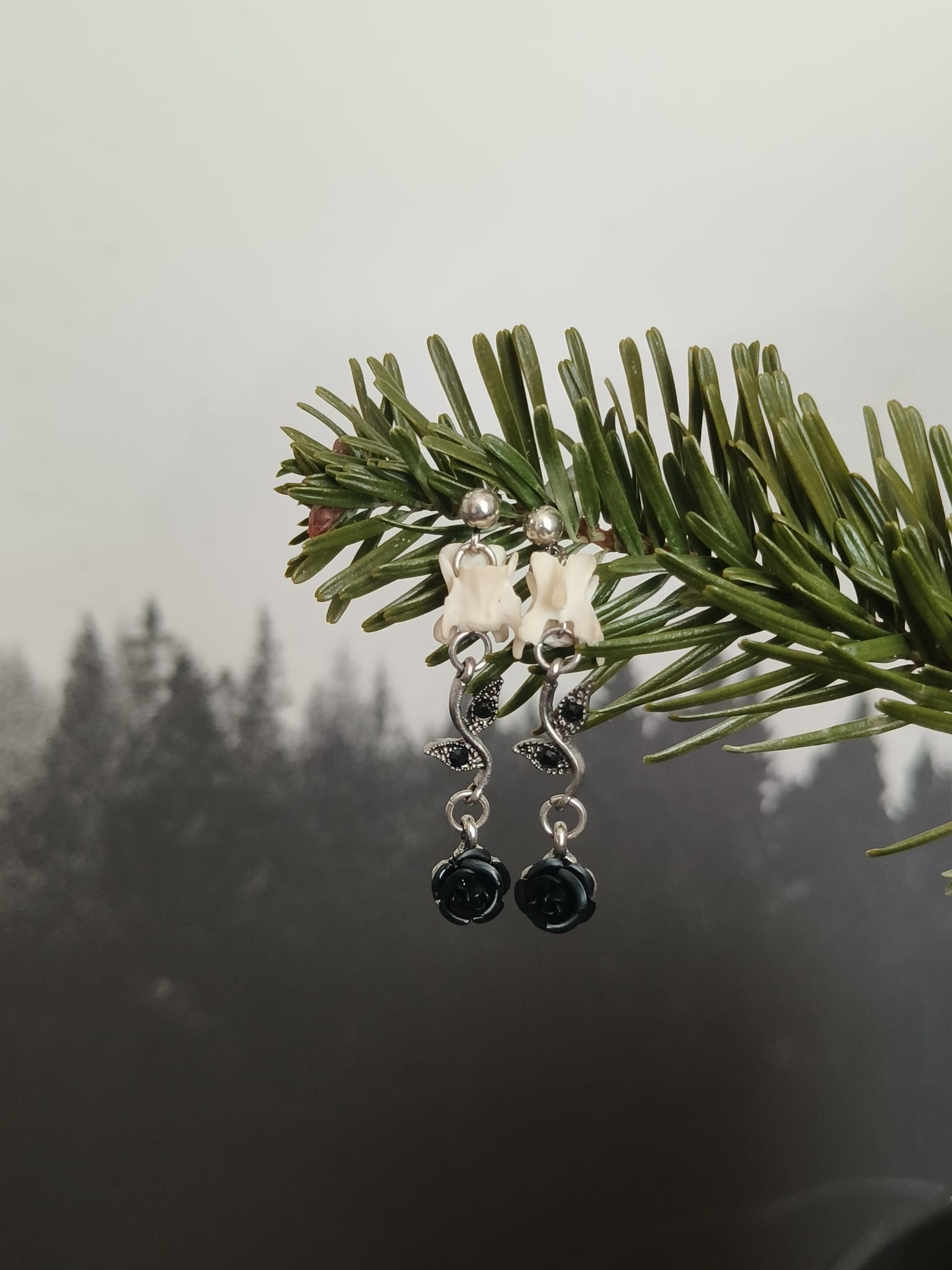 Eekhoorn  - Online kopen