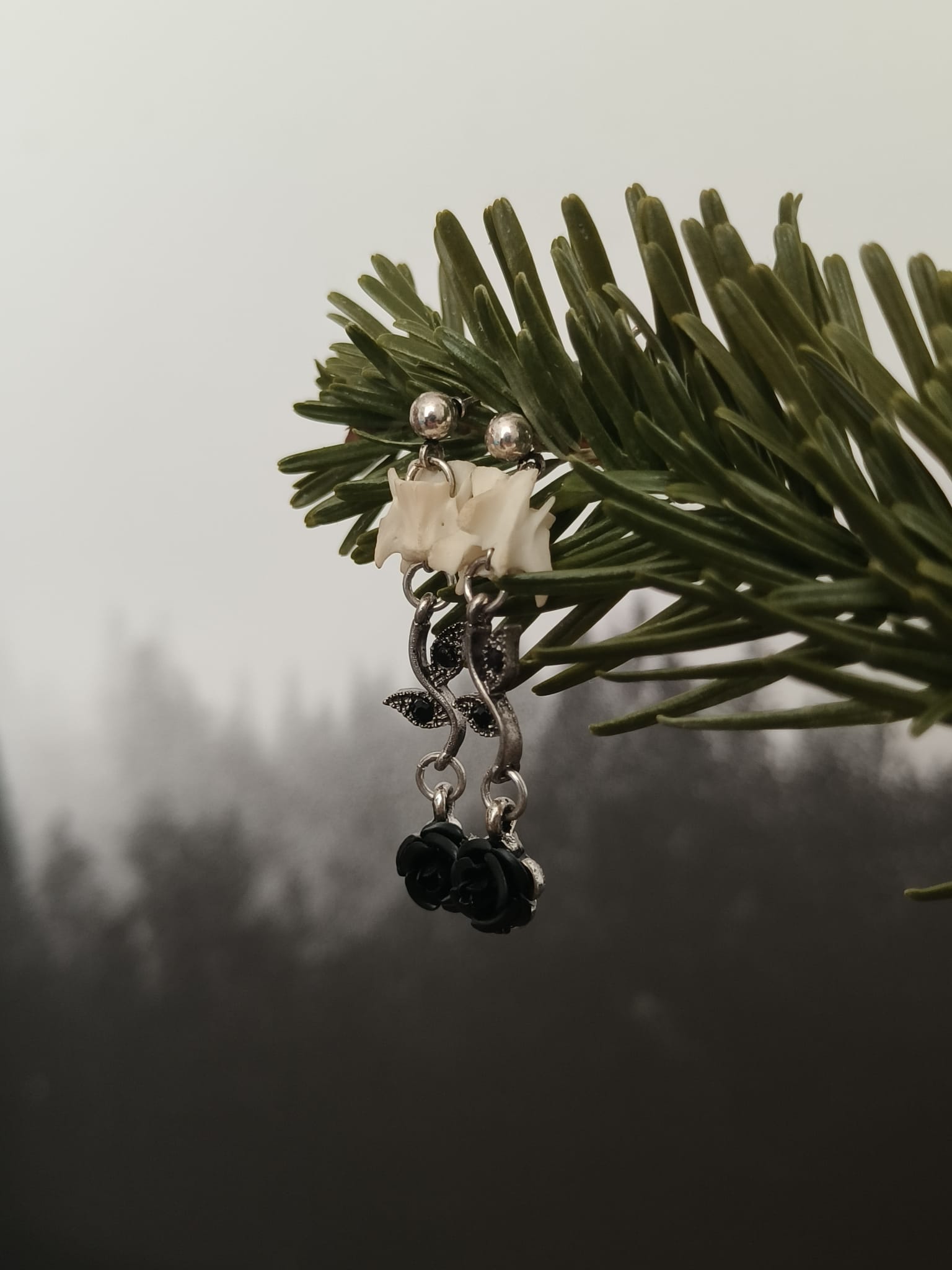 Eekhoorn  – galerij 3