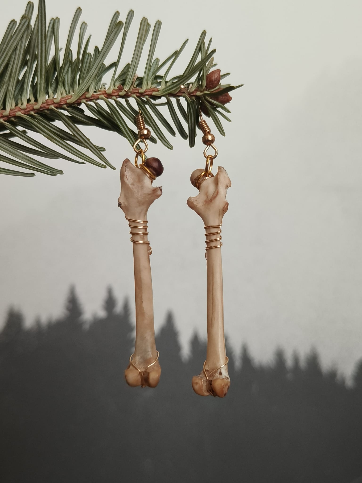 Eekhoorn  - Online kopen