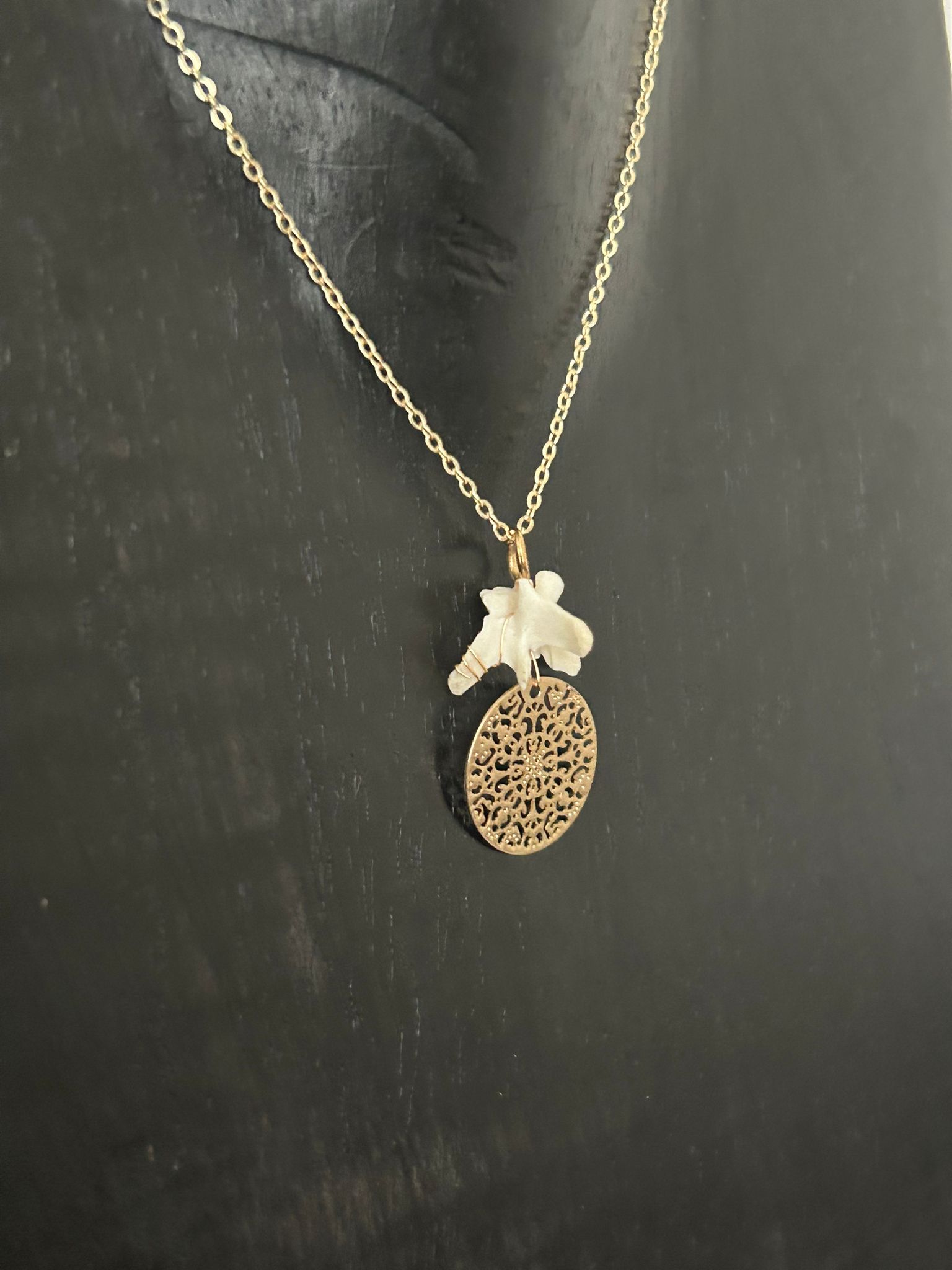 Eekhoorn  – galerij 2