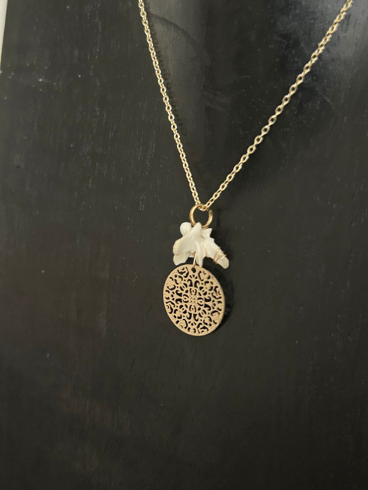 Eekhoorn  – galerij 5