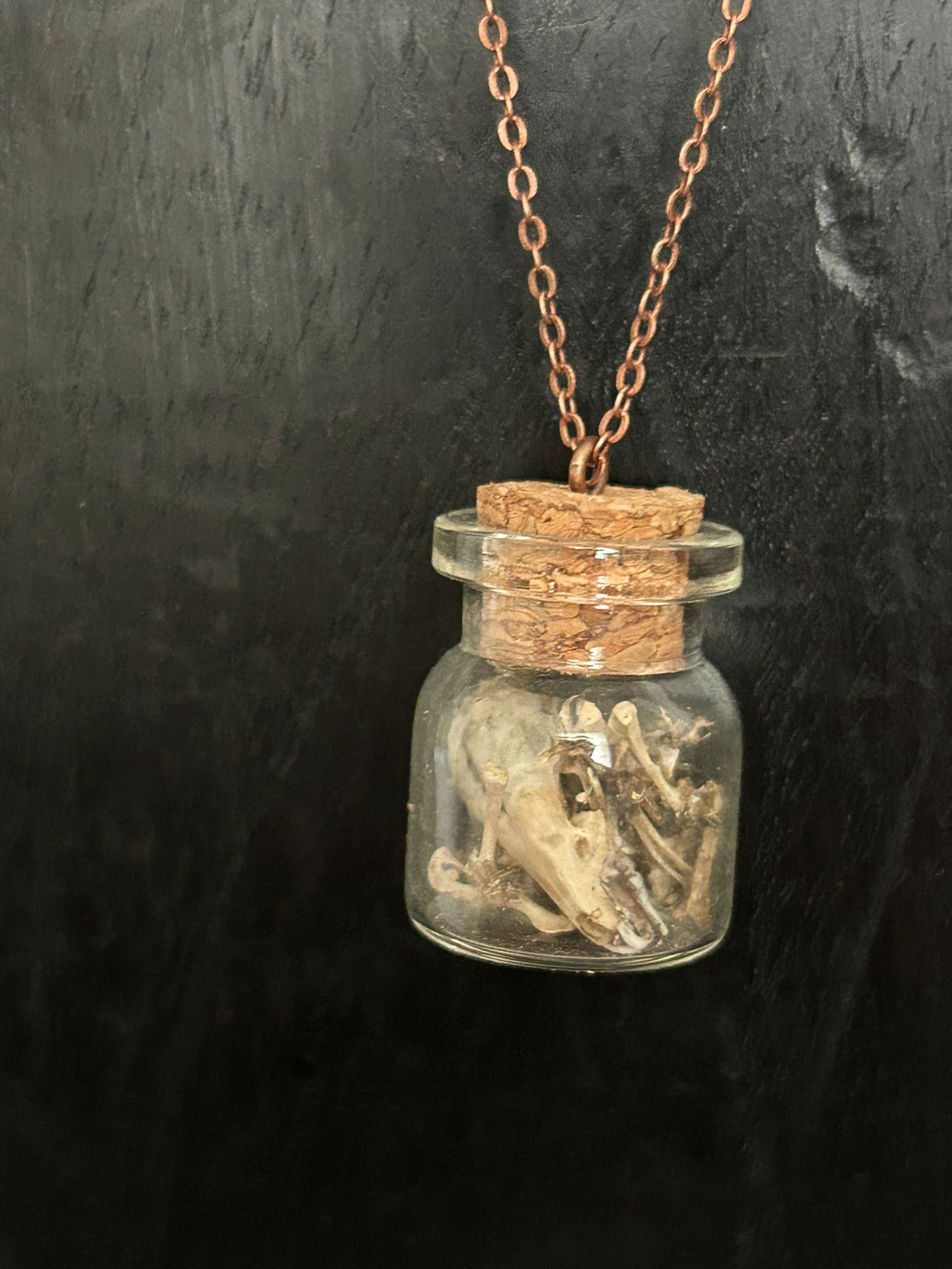 spitsmuis in een flesje - Online kopen