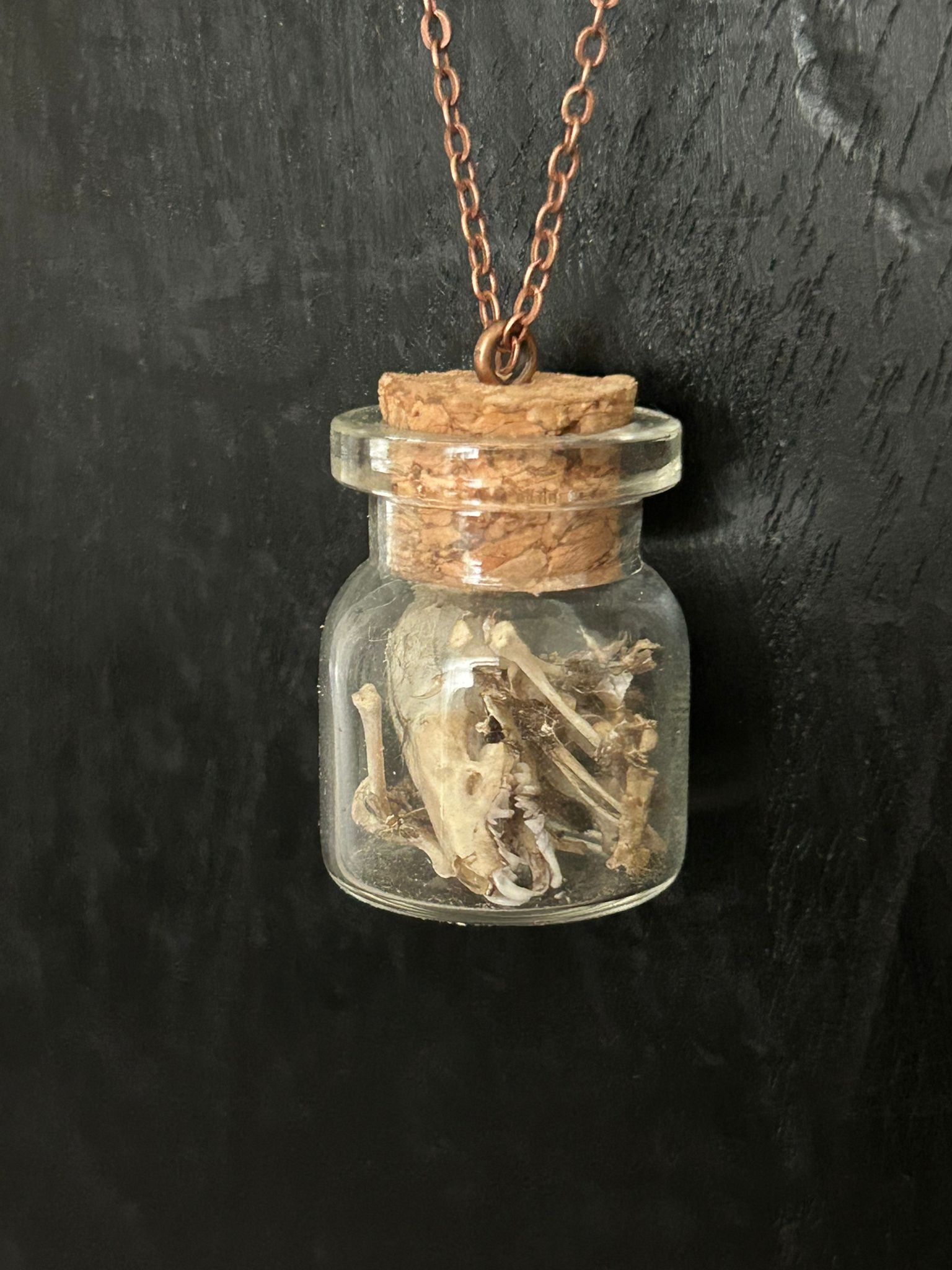 spitsmuis in een flesje – galerij 3