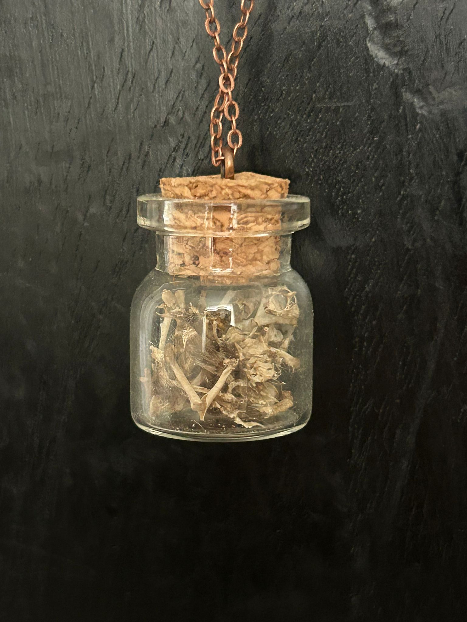 spitsmuis in een flesje – galerij 4