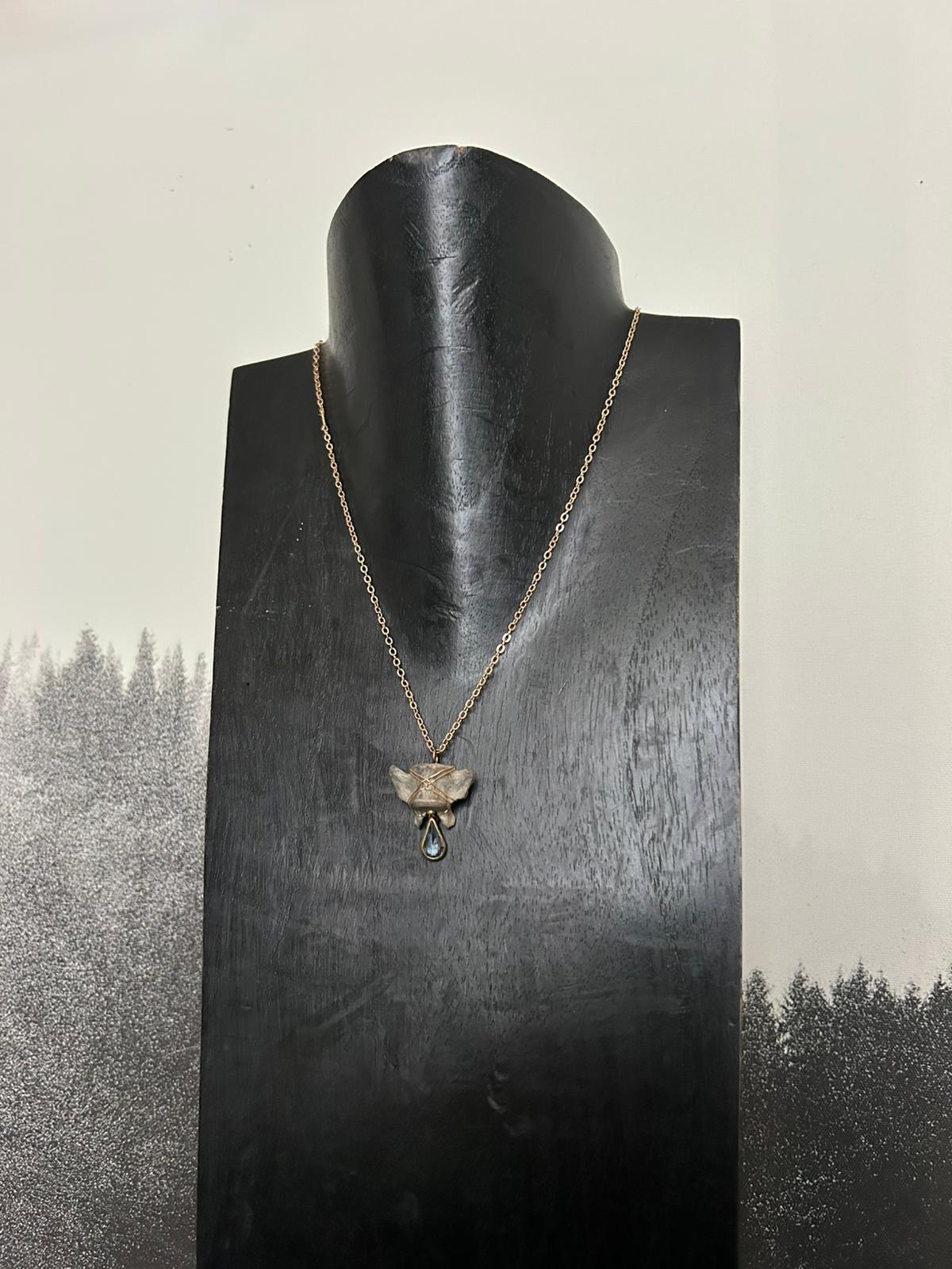 wasbeer – galerij 1