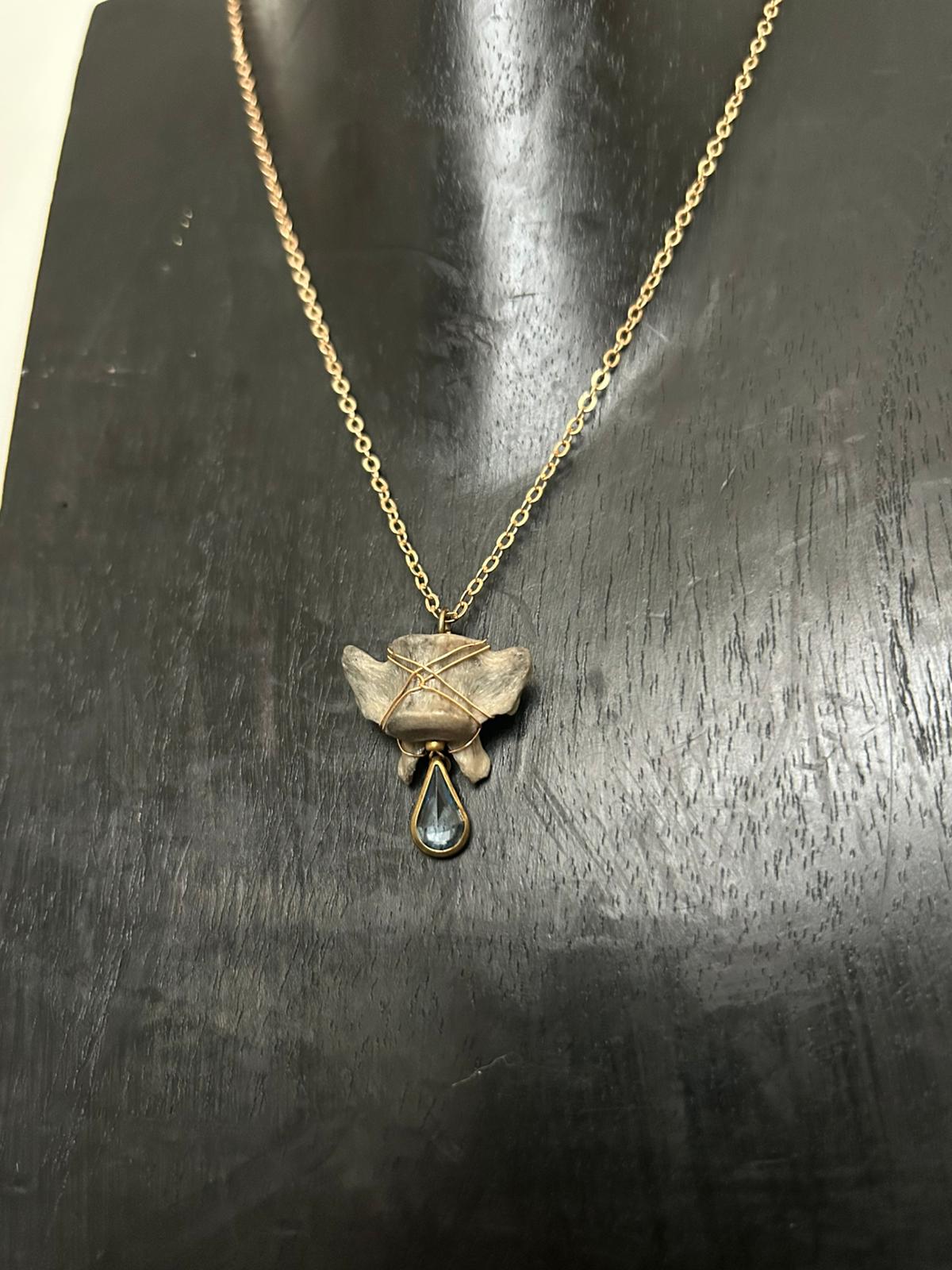 wasbeer – galerij 2