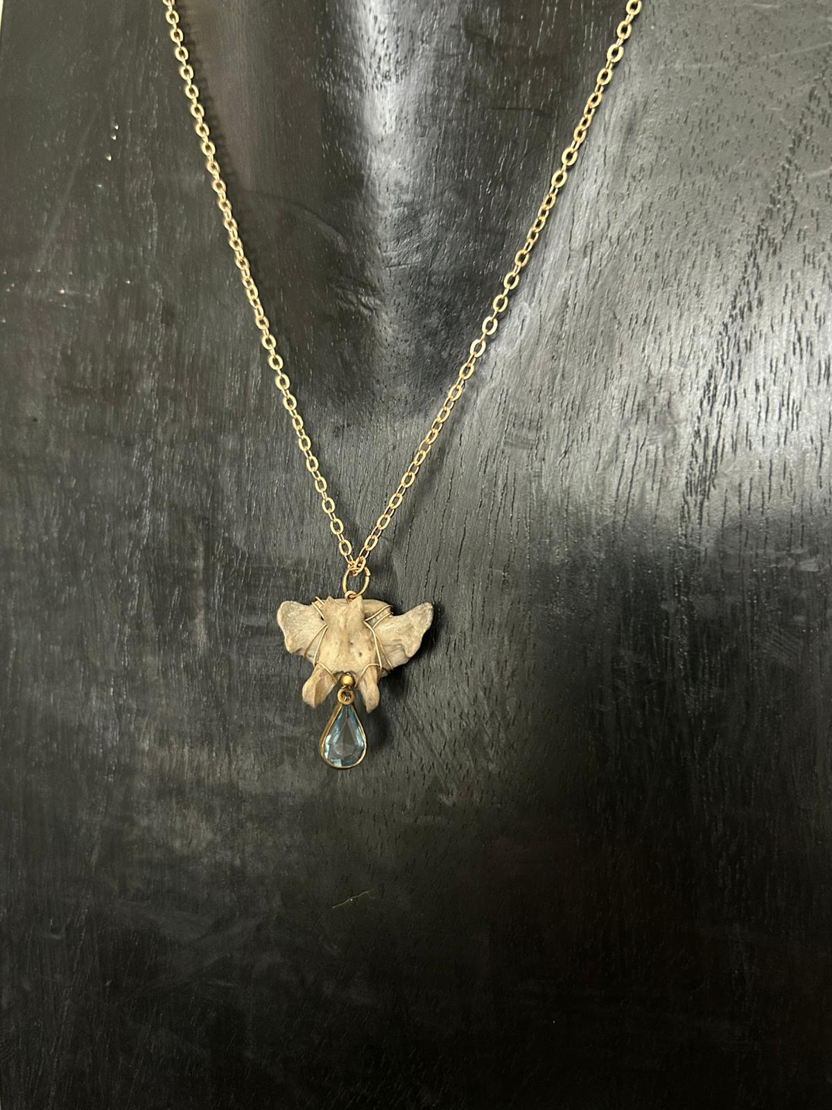 wasbeer - Online kopen