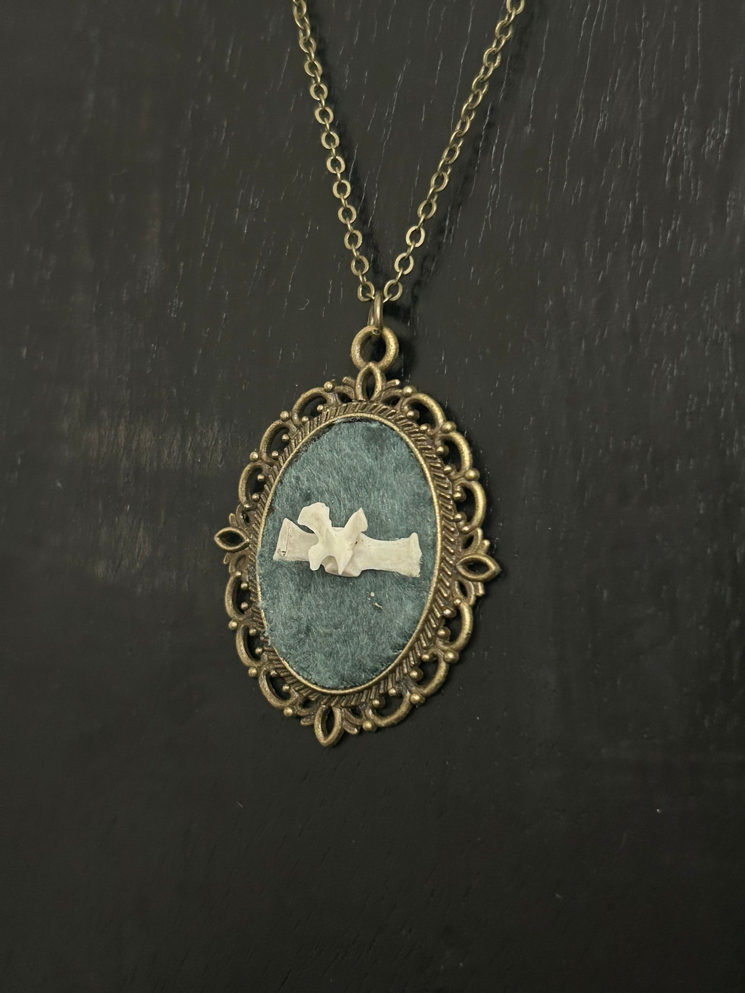 Eekhoorn  - Online kopen