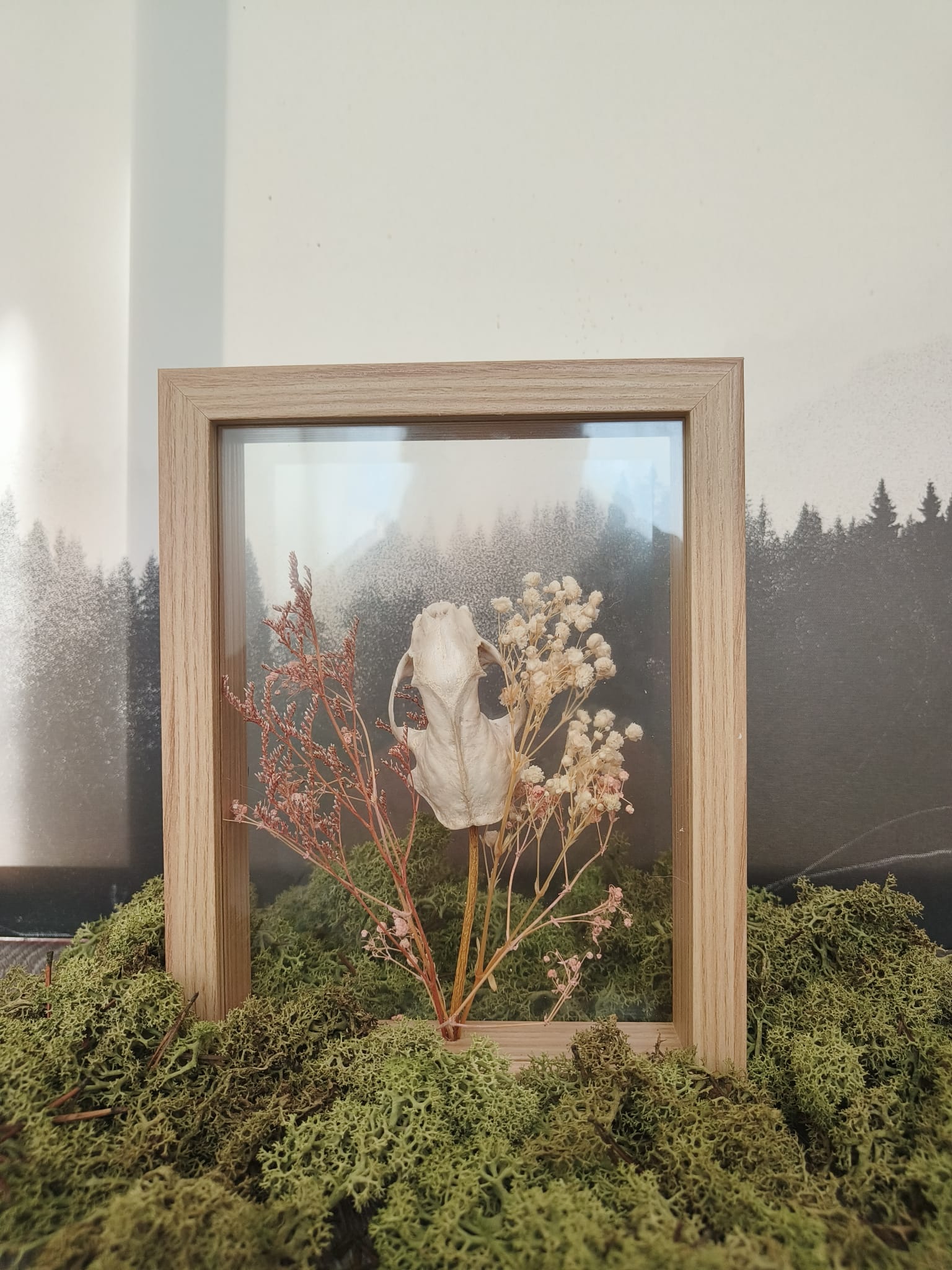 Marter kader - Online kopen