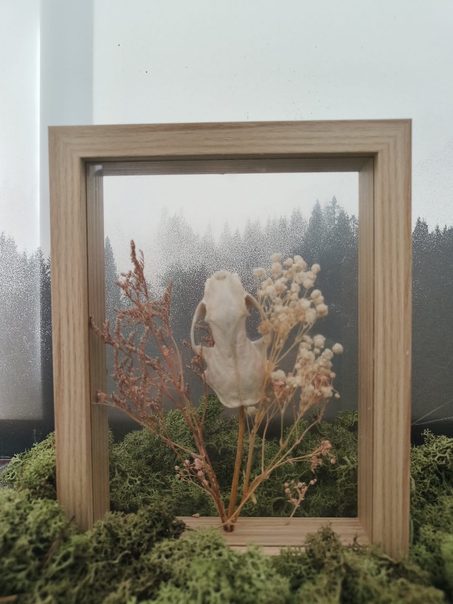 Marter kader – galerij 1