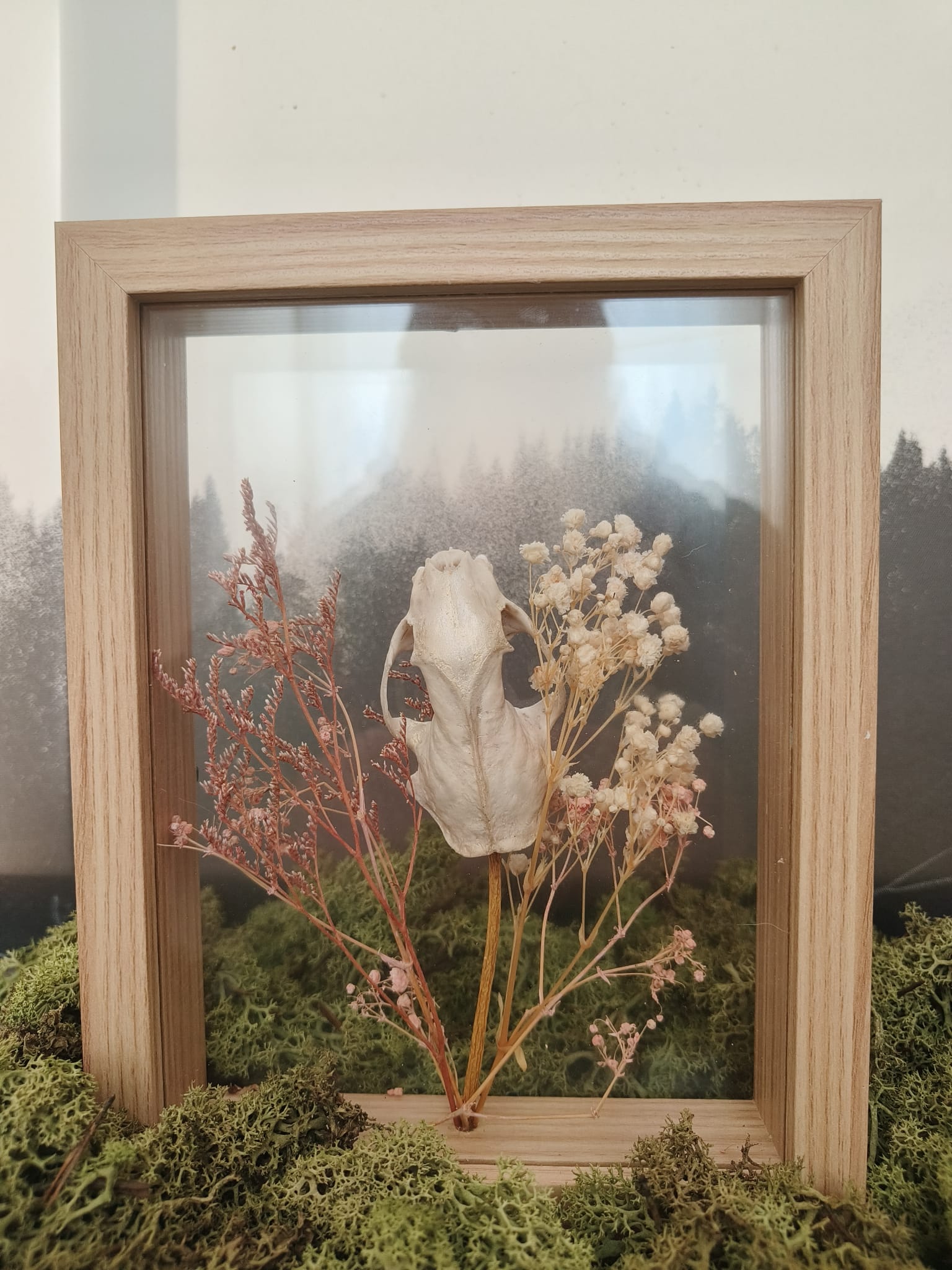 Marter kader – galerij 2