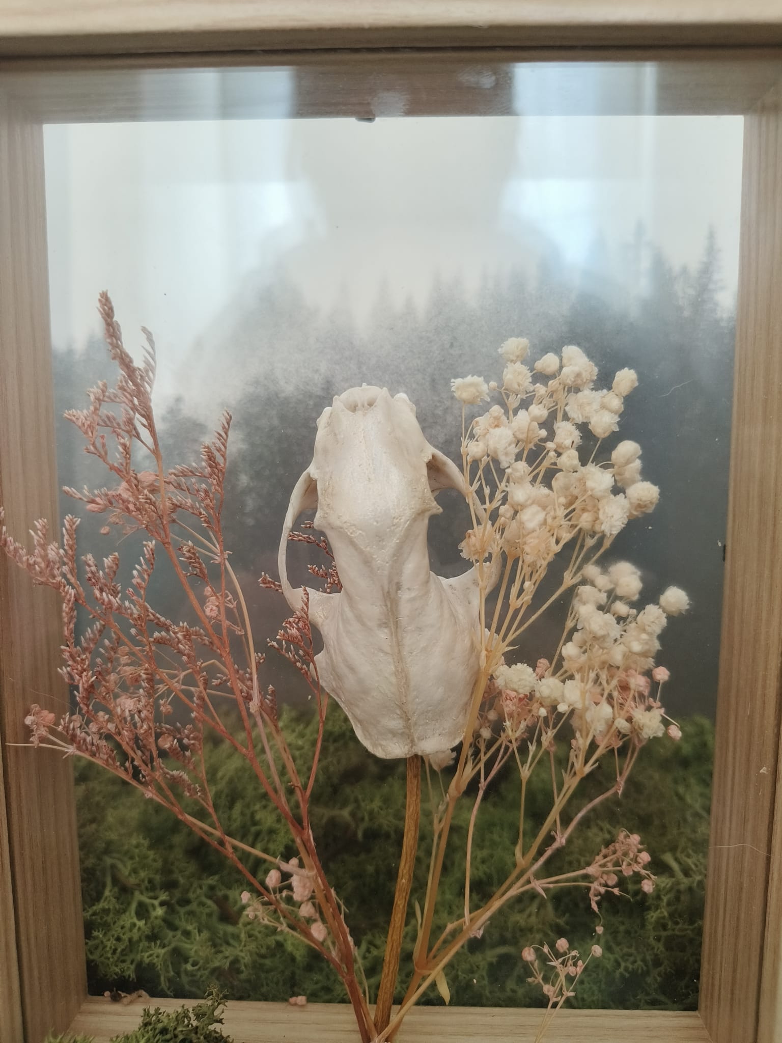 Marter kader – galerij 3