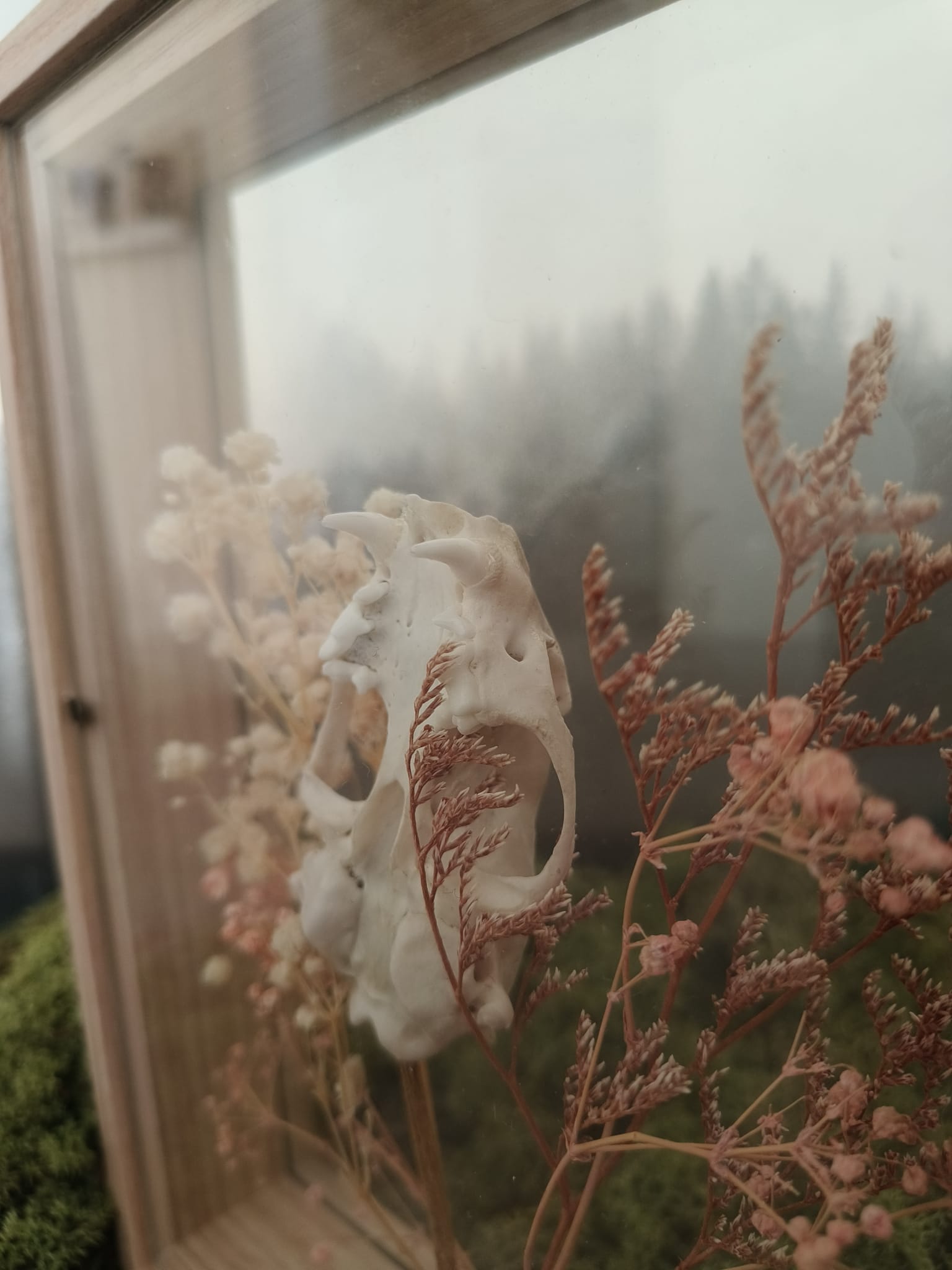 Marter kader – galerij 4