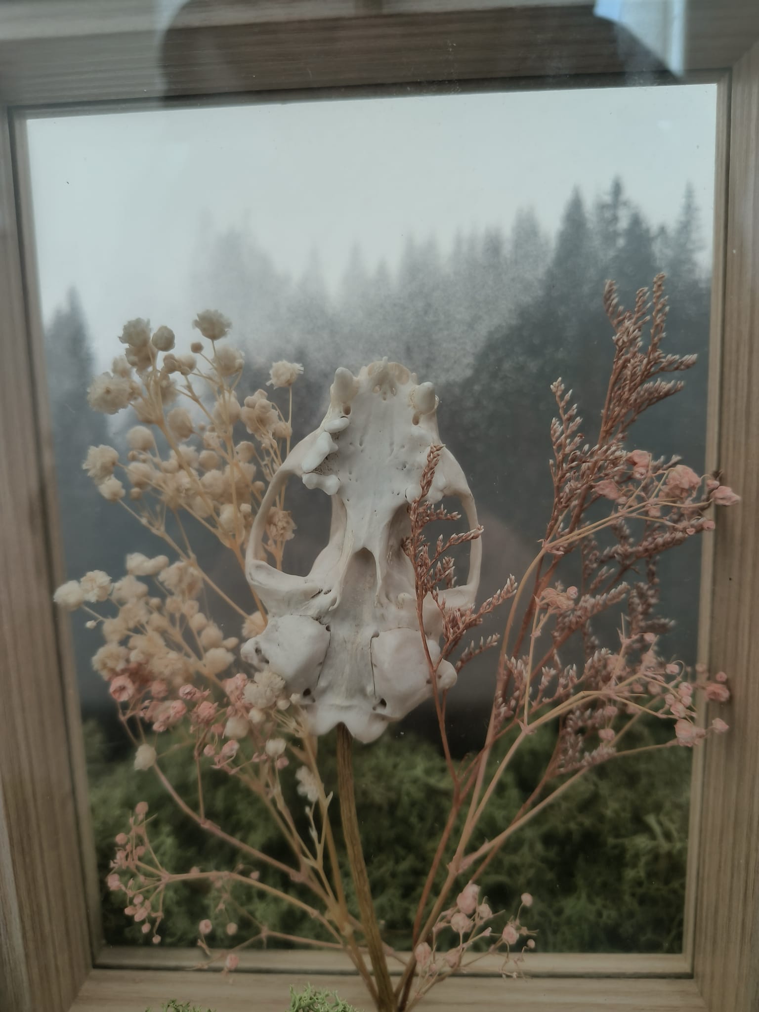 Marter kader – galerij 5