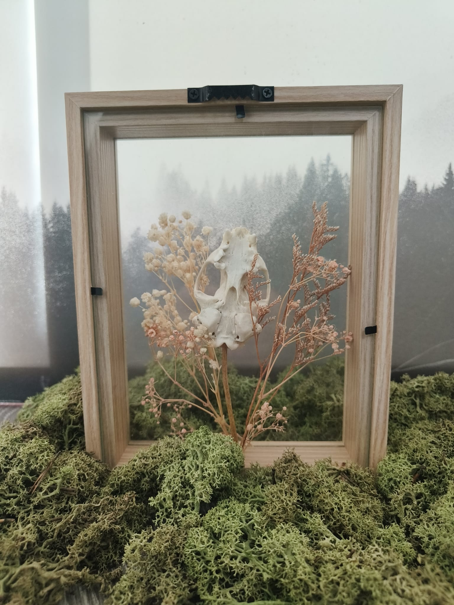 Marter kader – galerij 6