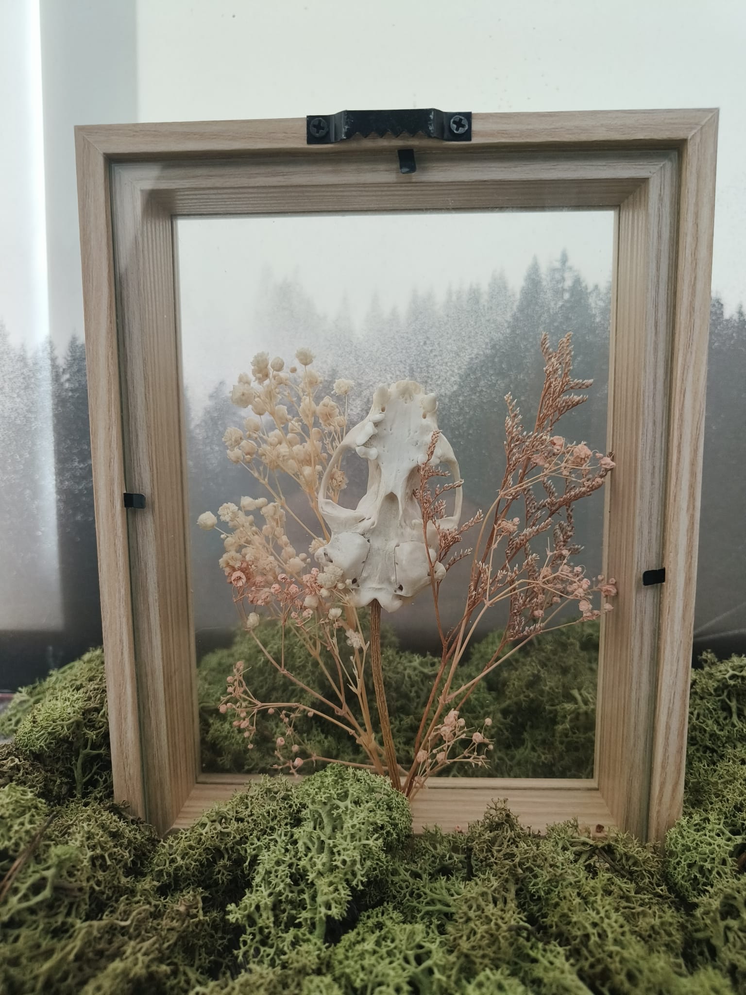 Marter kader – galerij 7