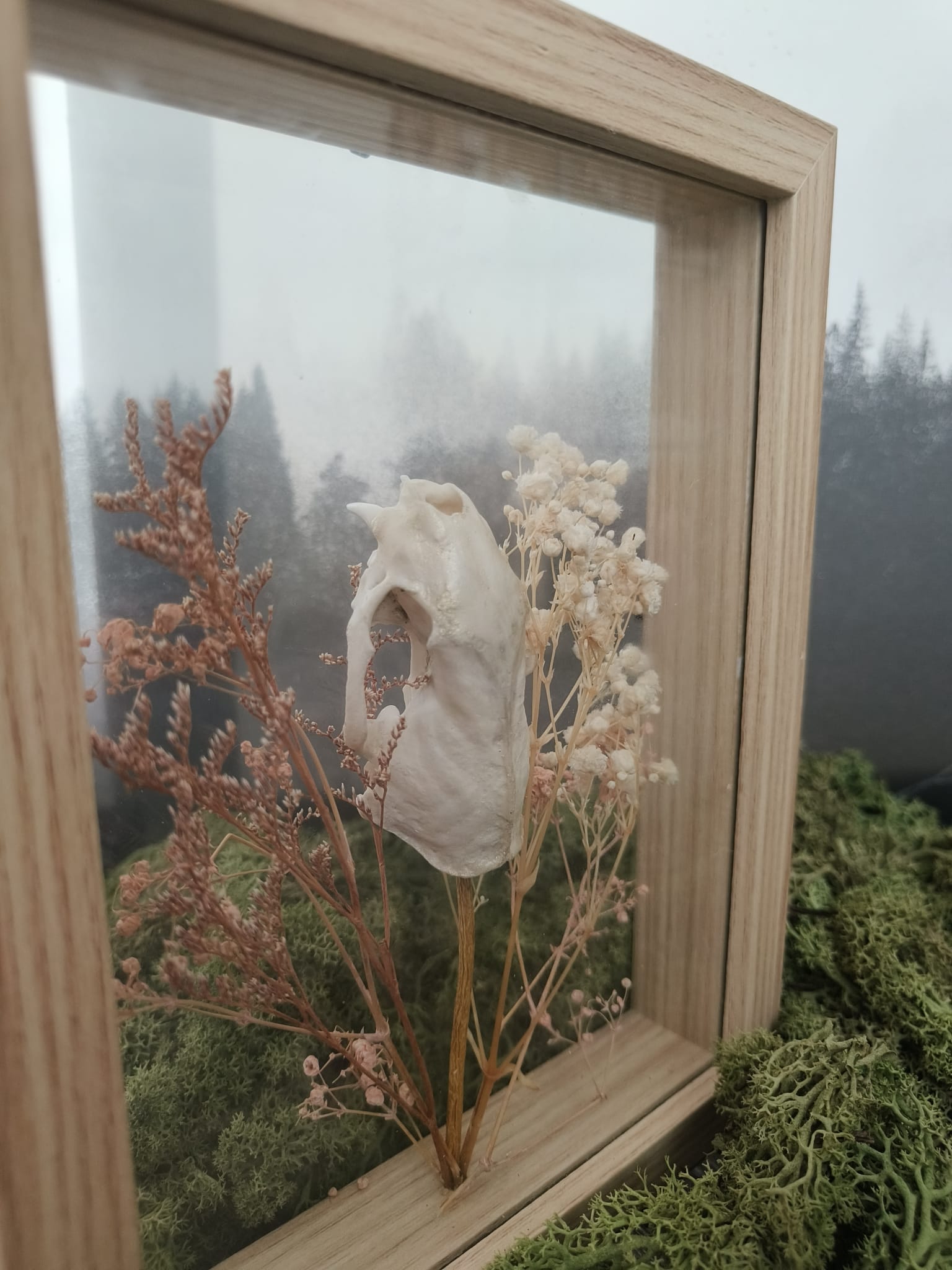 Marter kader – galerij 8