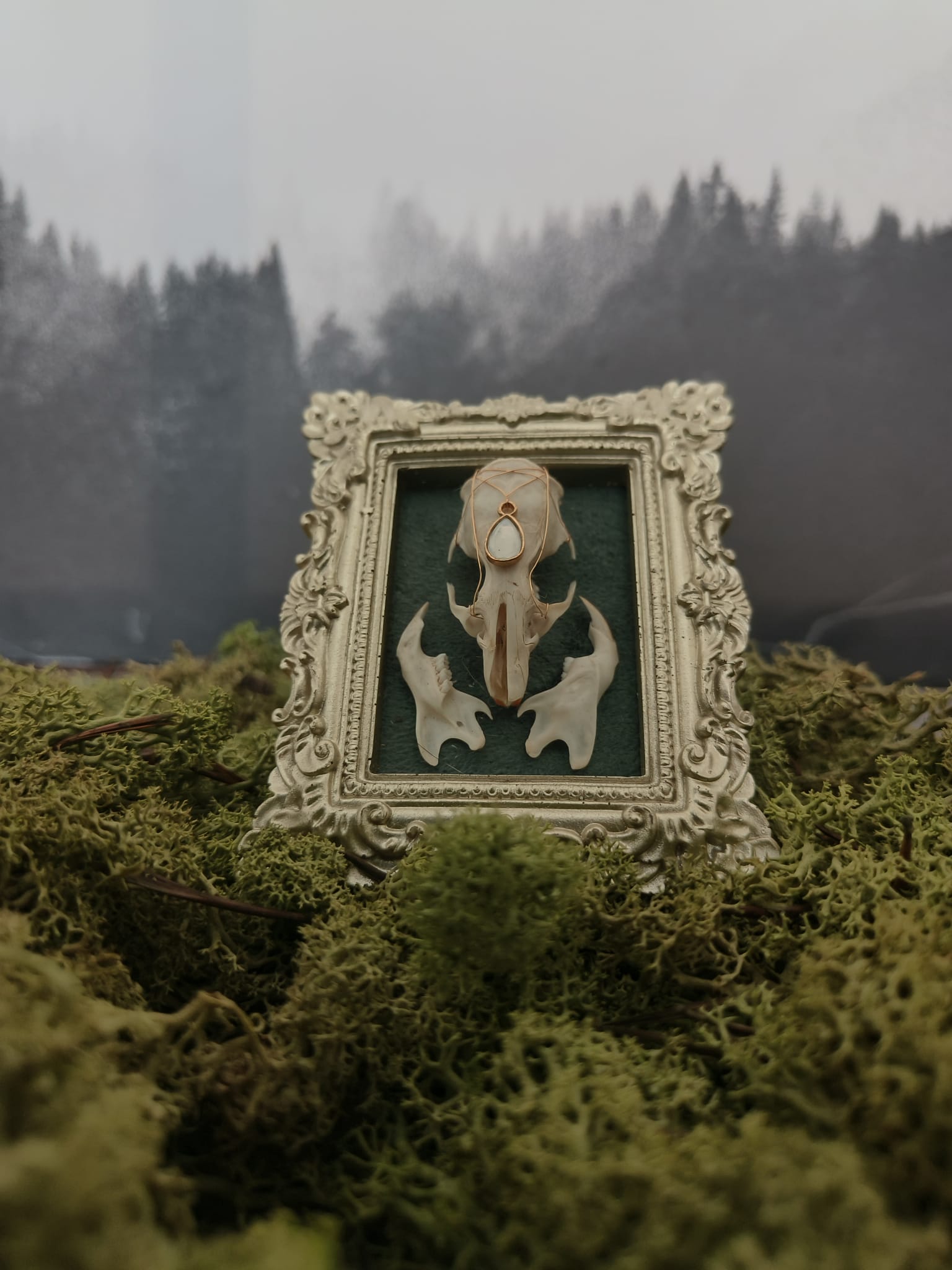 Kader Rat - Online kopen